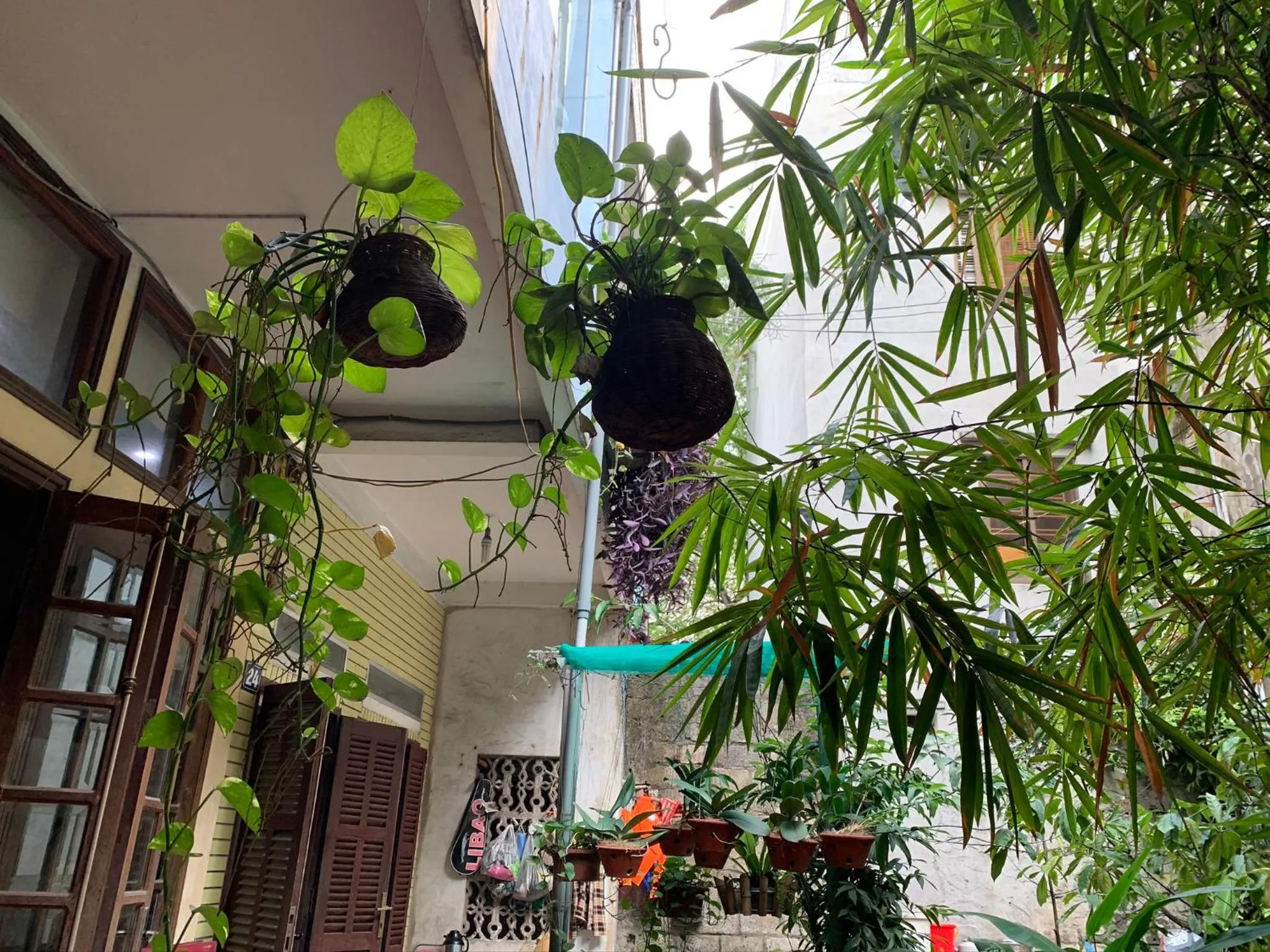 Facade/entrance in Halo Bay Homestay