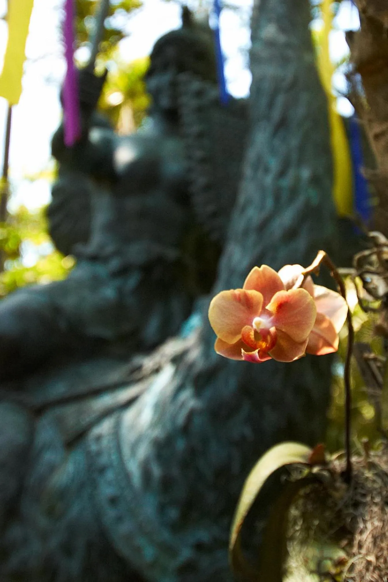 Garden in The Gardens Hotel