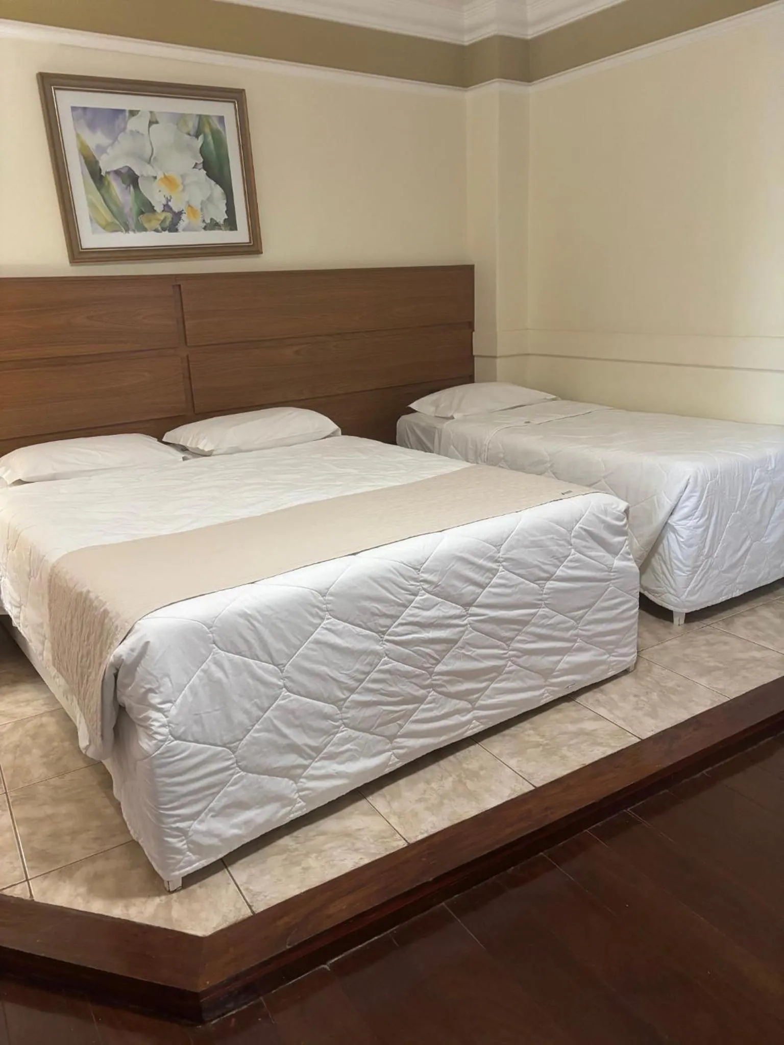 Photo of the whole room, Bed in Tamareiras Park Hotel