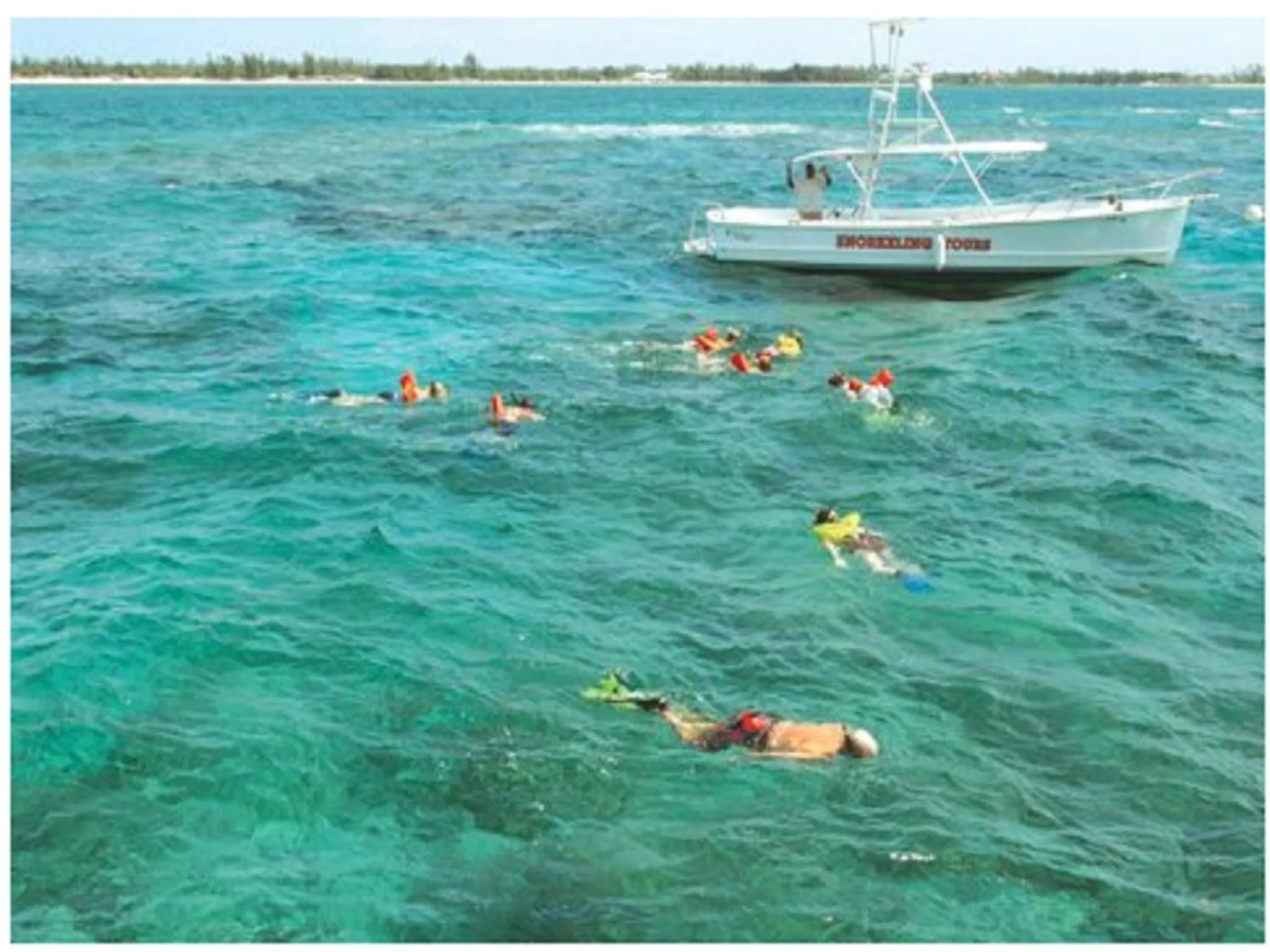 Snorkeling in Flamingo Bay Hotel & Marina