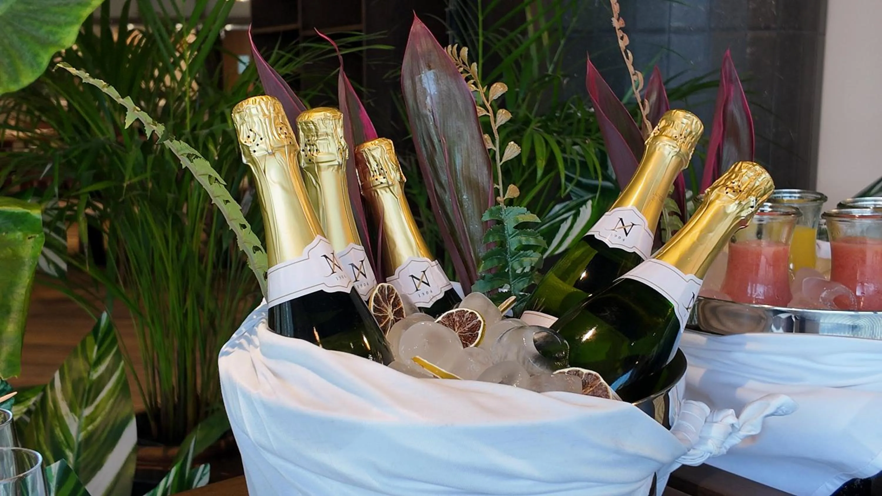 Drinks in Grand Sirenis Riviera Maya Resort & Spa All Inclusive