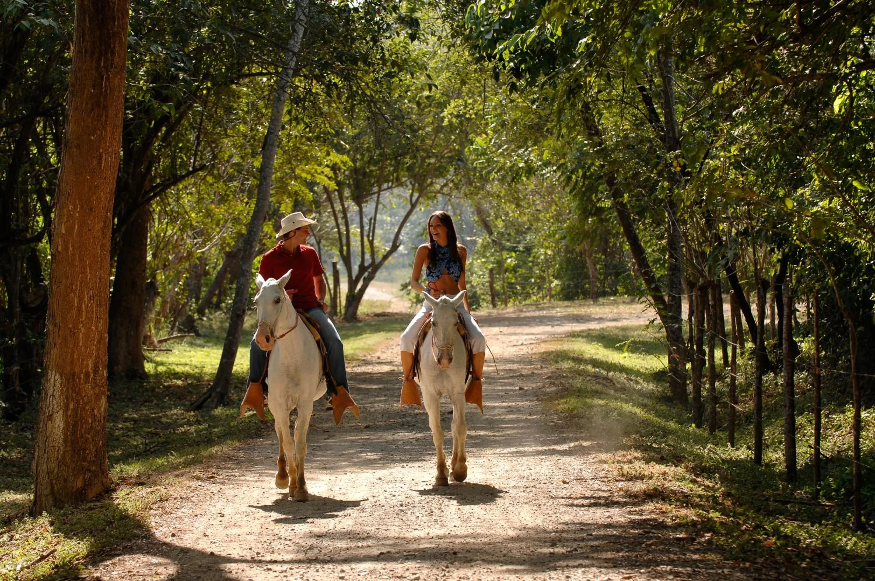 Activities in Barceló Tambor - All Inclusive