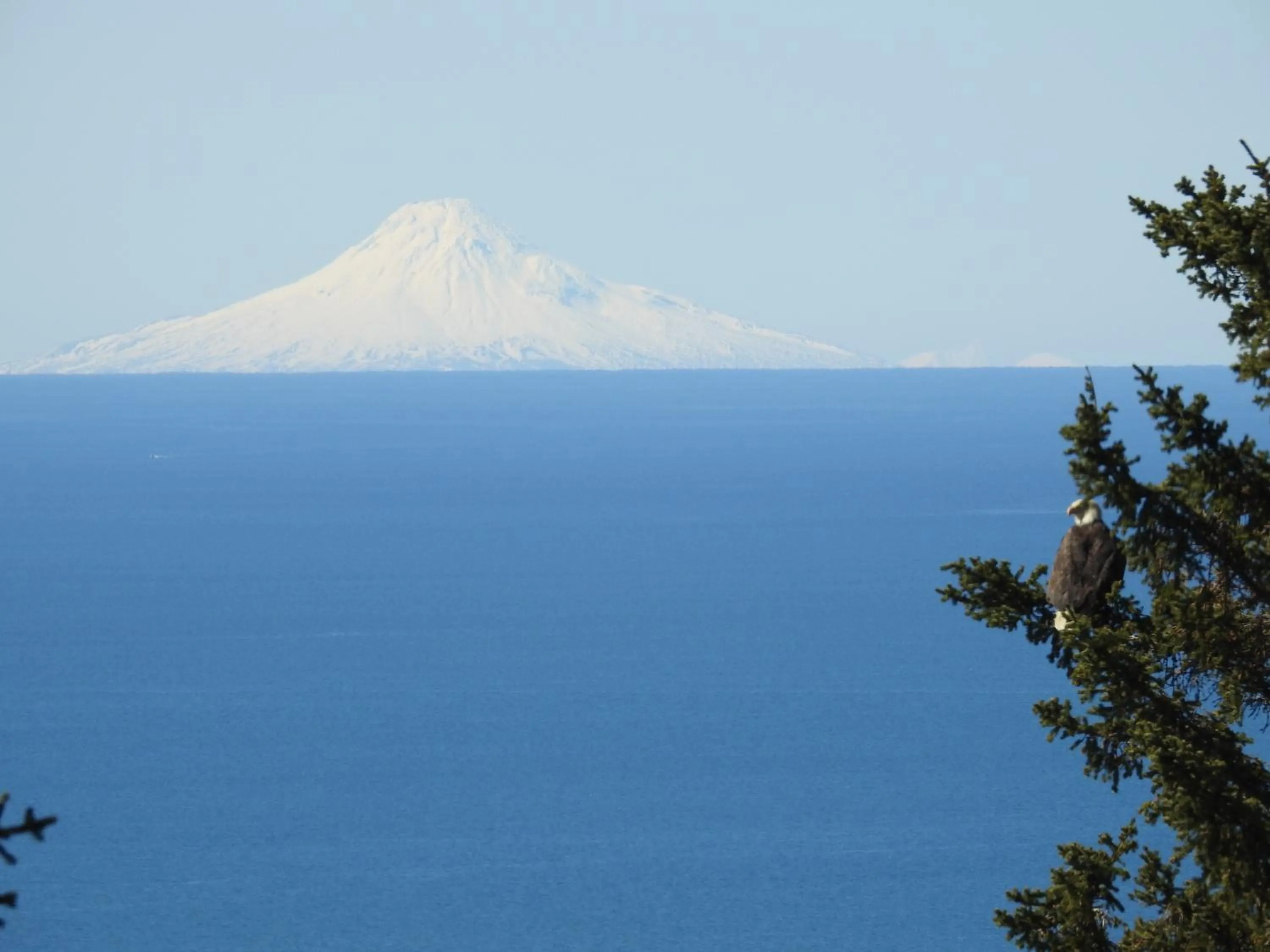 Beach in Alaska Adventure Cabins