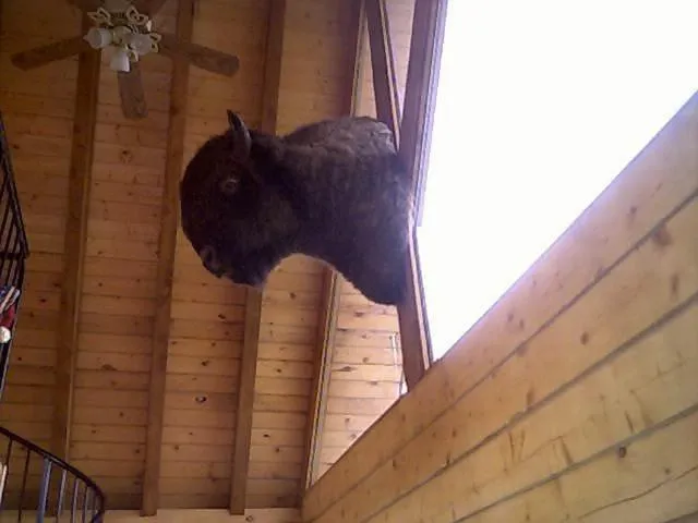 Alaska Adventure Cabins