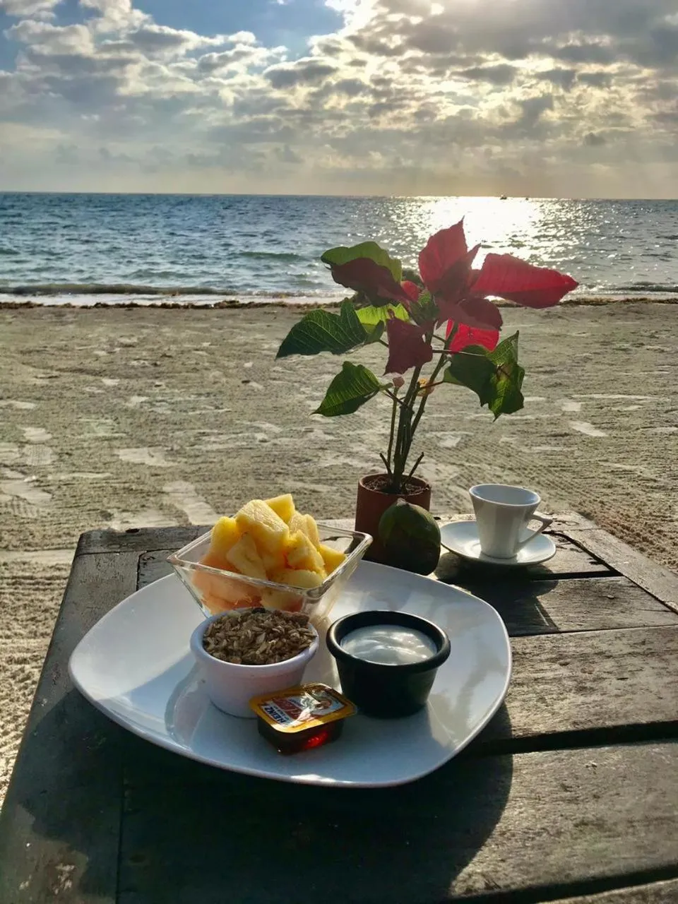 Restaurant/places to eat in Hotel Luna De Plata Mahahual