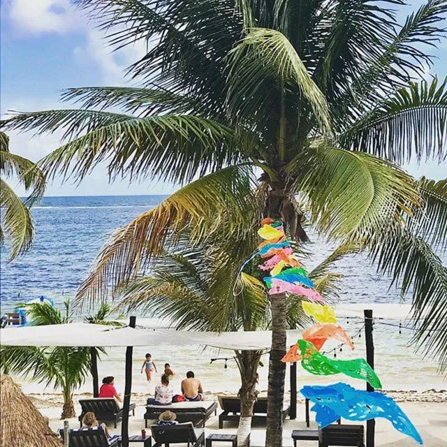 Food in Hotel Luna De Plata Mahahual