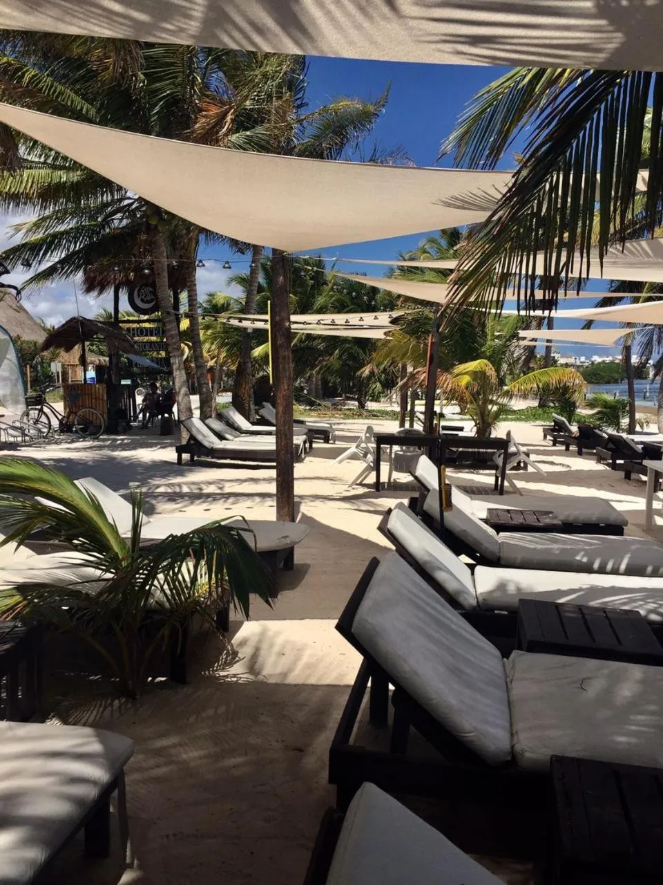 Beach in Hotel Luna De Plata Mahahual