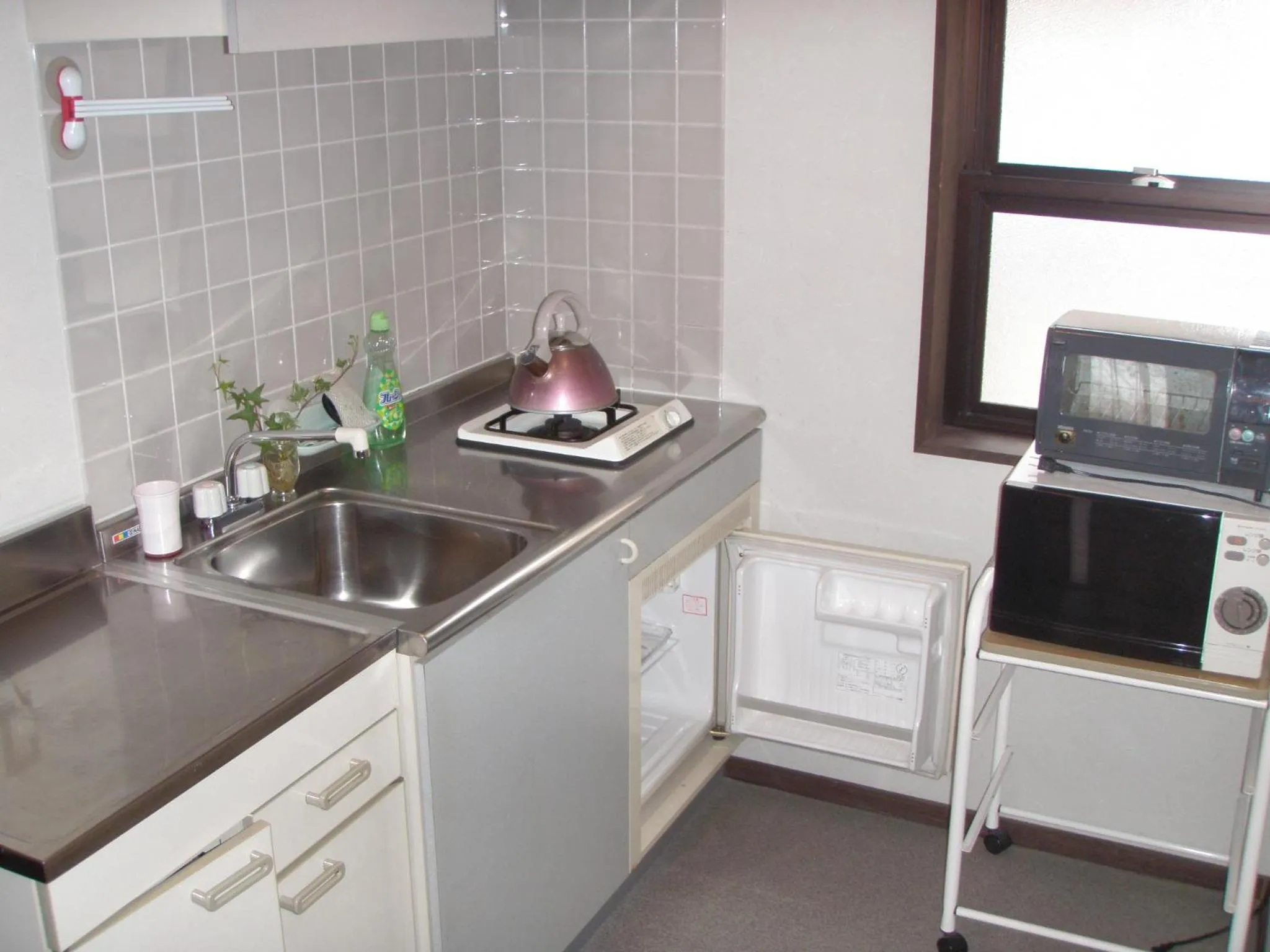 Area and facilities in Landhaus Dancru Netz