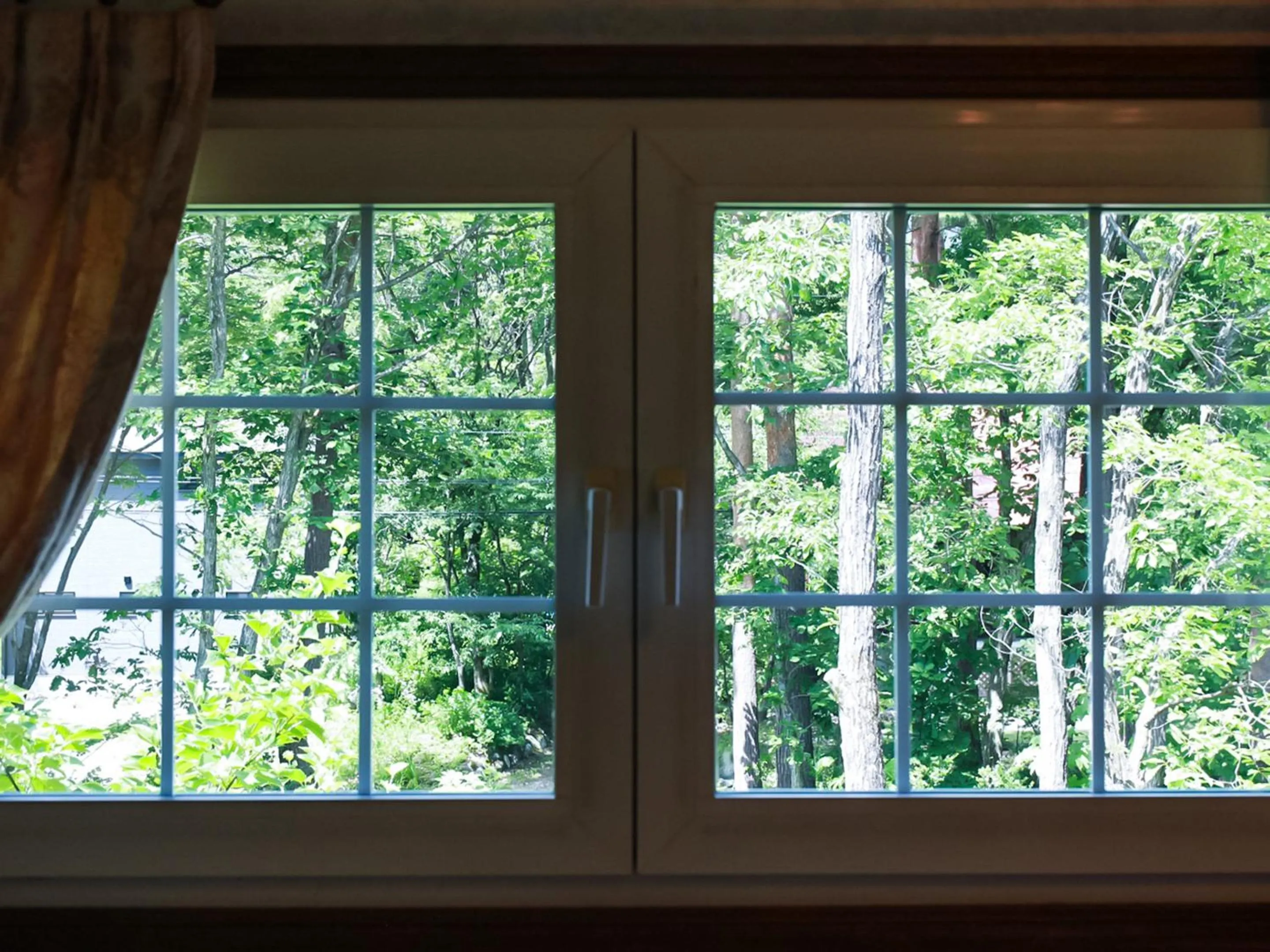 Photo of the whole room in Landhaus Dancru Netz