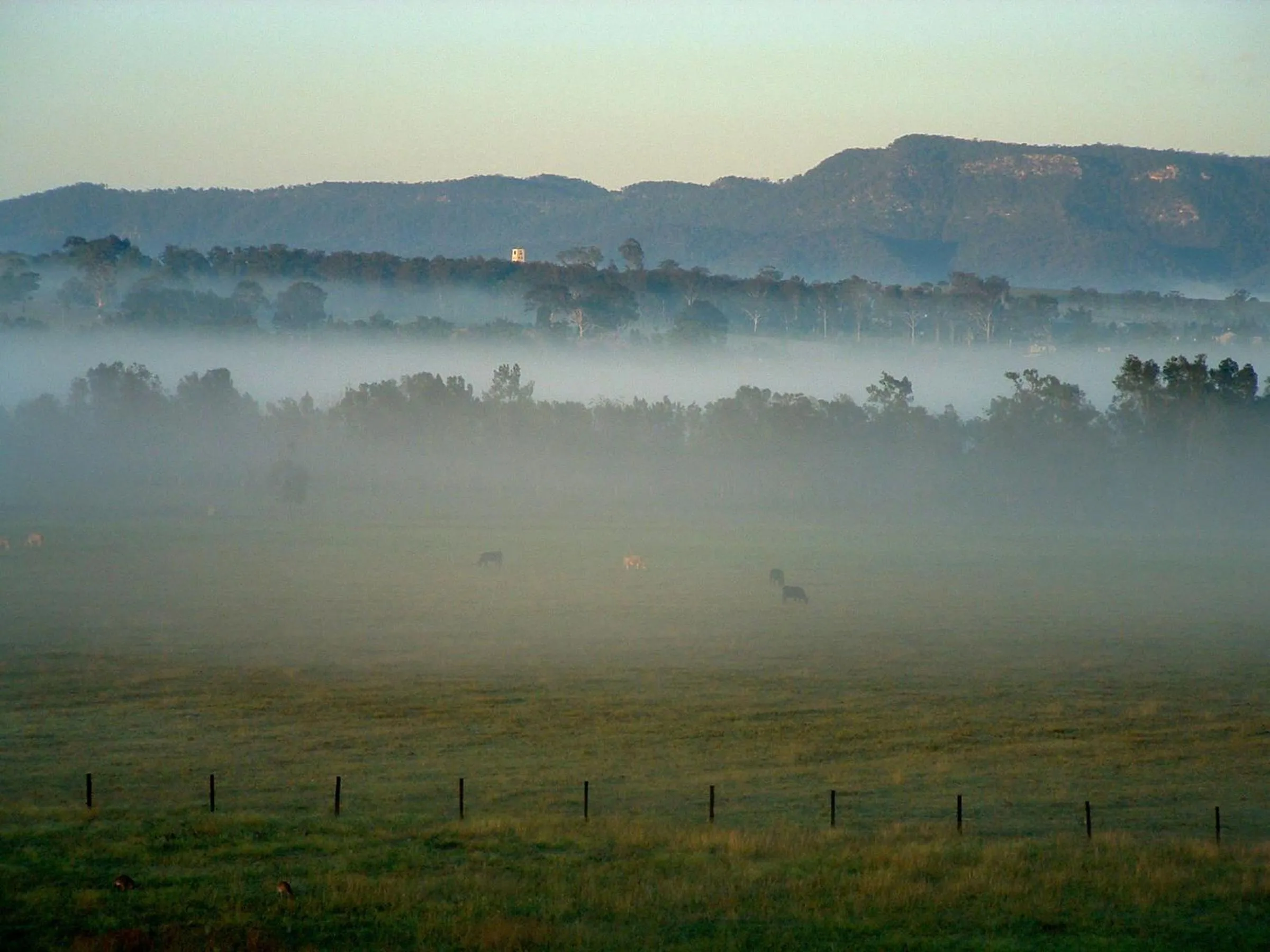 Natural landscape in Adina Vineyard