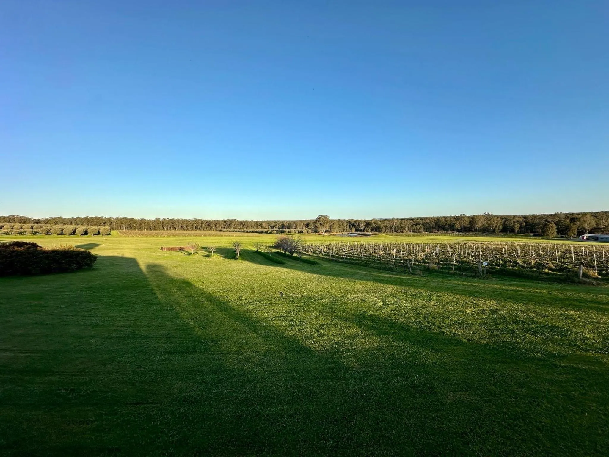 View (from property/room) in Adina Vineyard