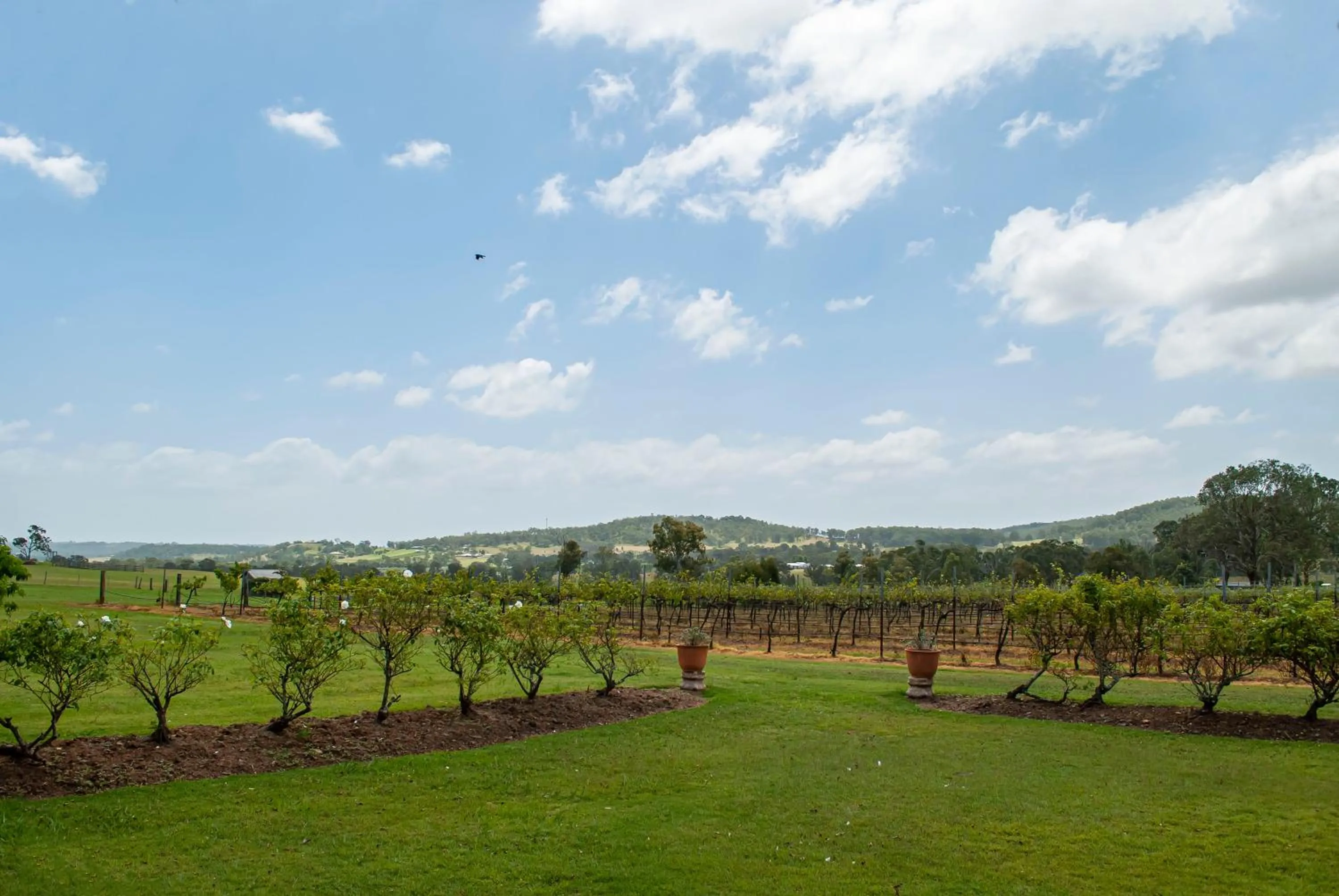 Day in Bluebush Estate