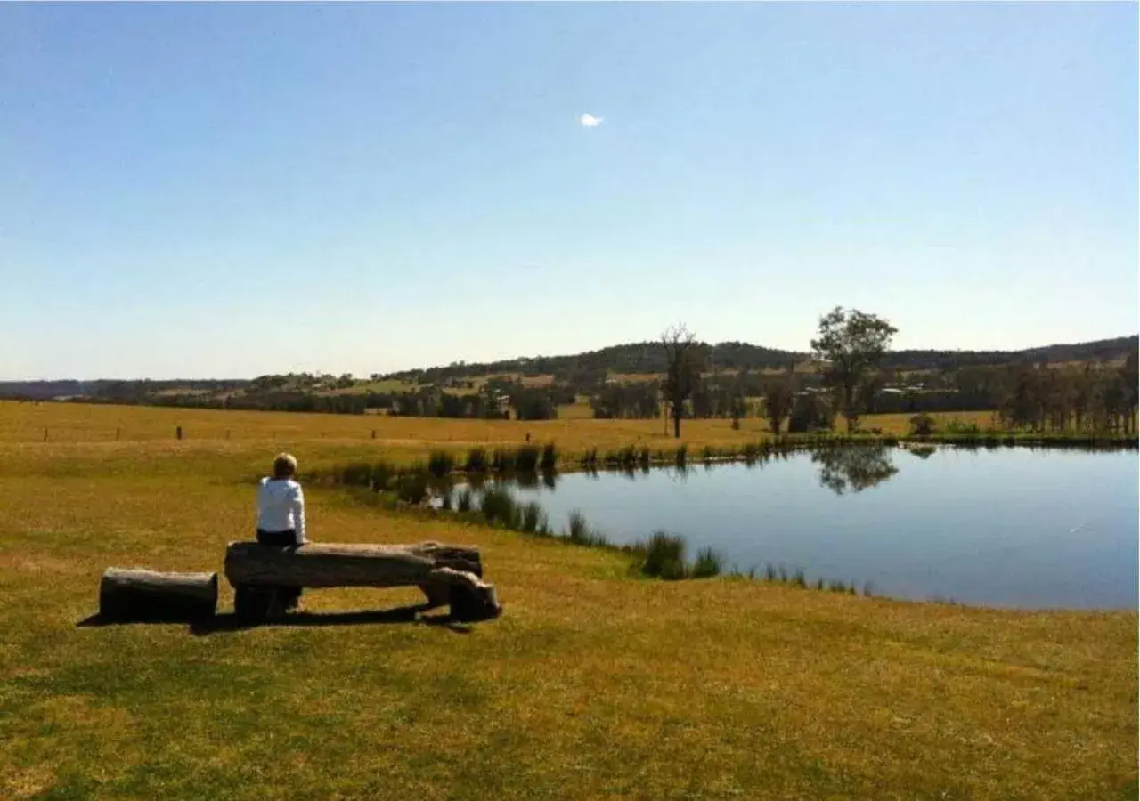 Bluebush Estate Bluebush Estate