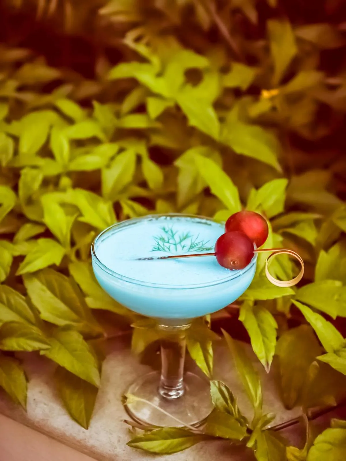 Drinks in Lemon Tree Hotel Whitefield, Bengaluru