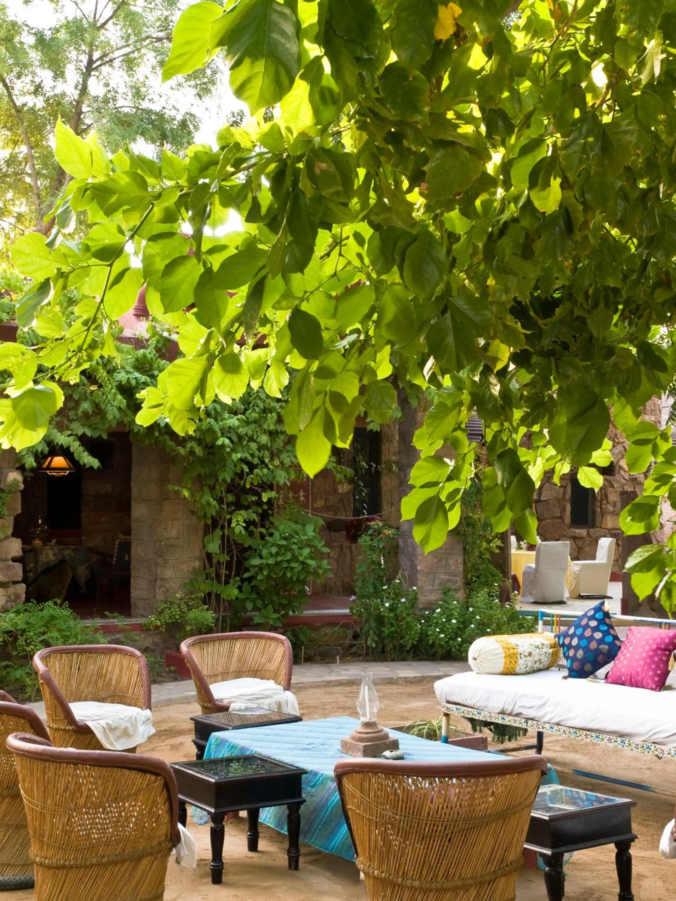 Communal lounge/ TV room in Mandore Guest House