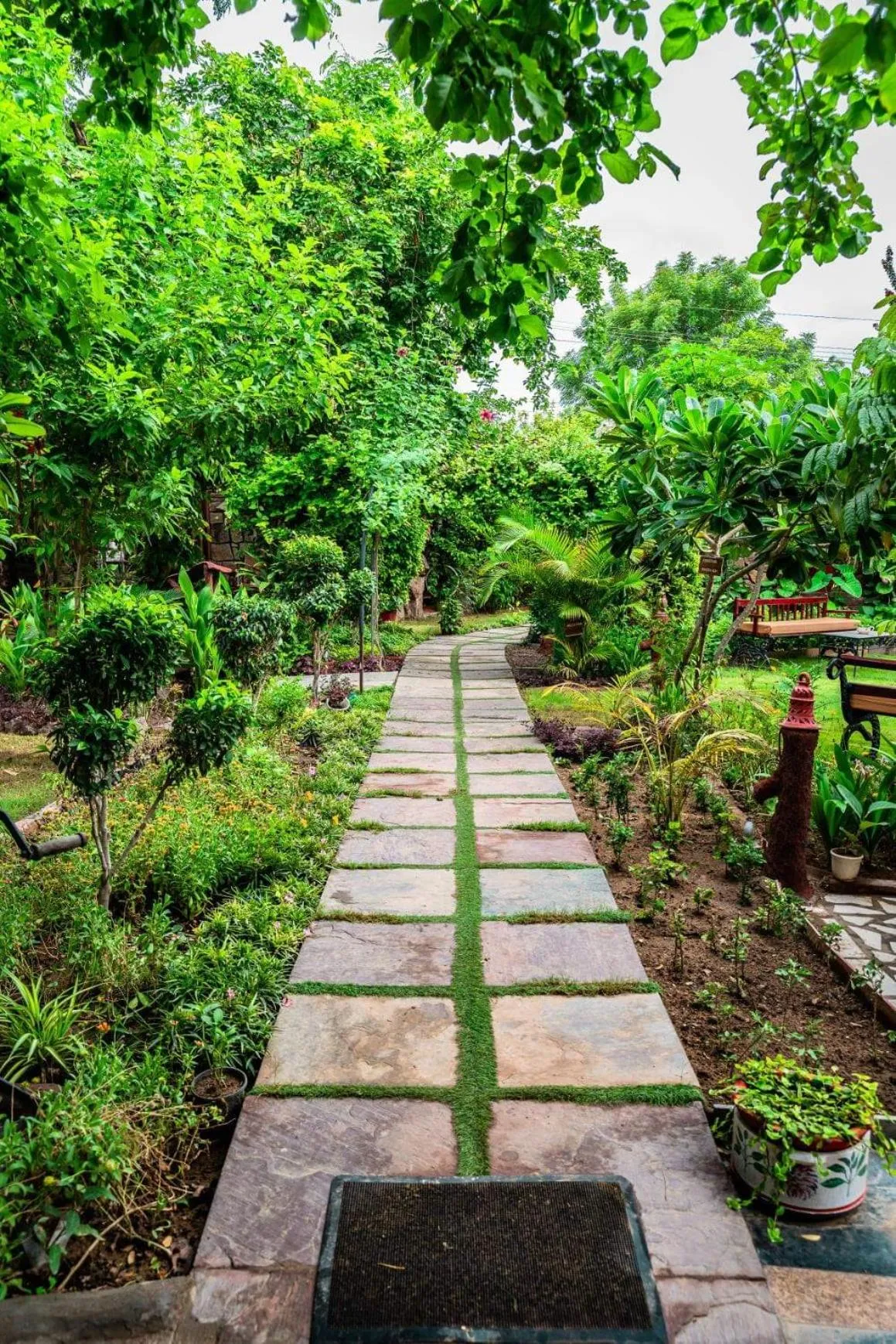 Garden view in Mandore Guest House