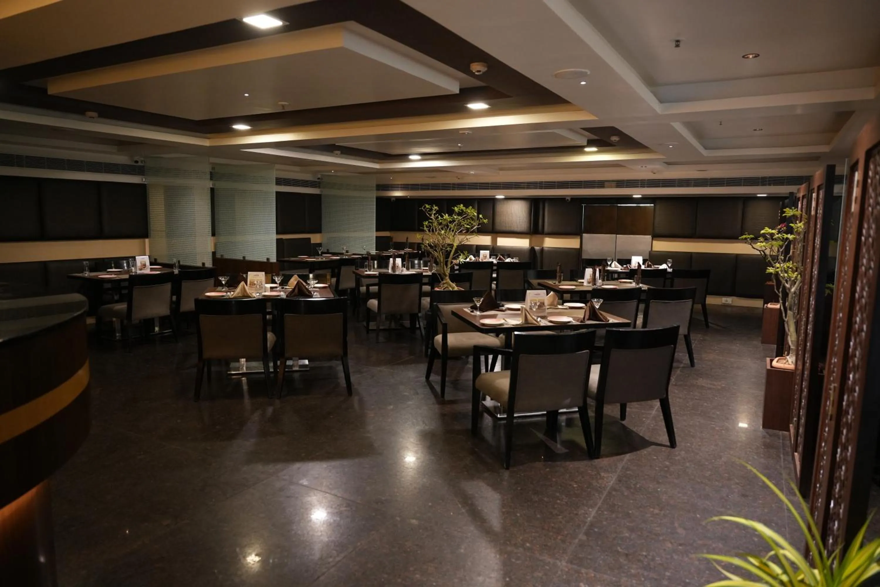 Lounge or bar in Cygnett Inn Ramachandra