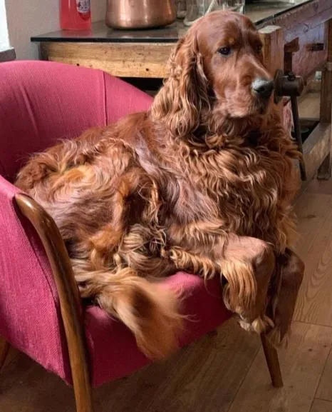 Albergo Aprica Garni