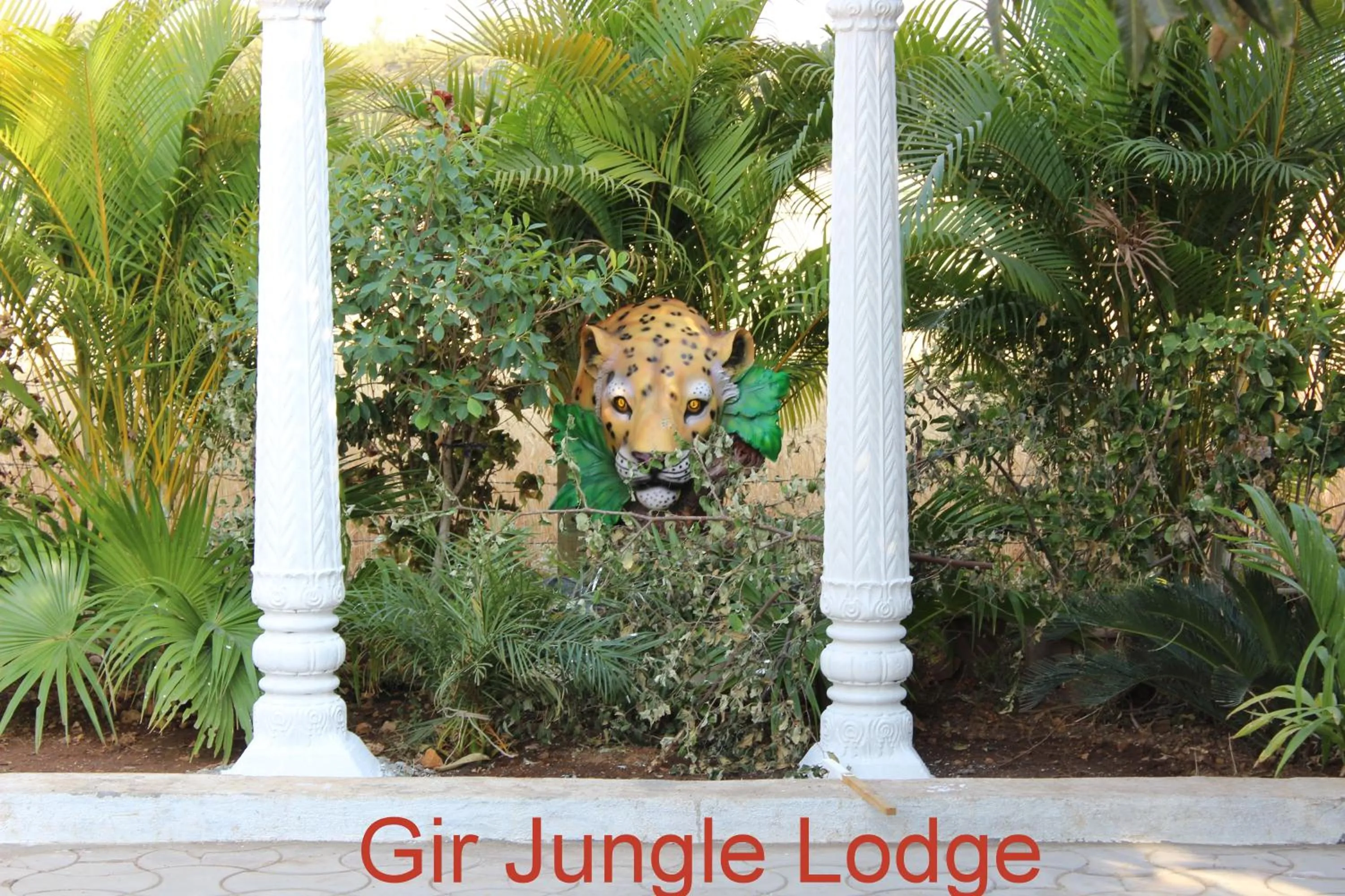 Animals in Gir Jungle Lodge
