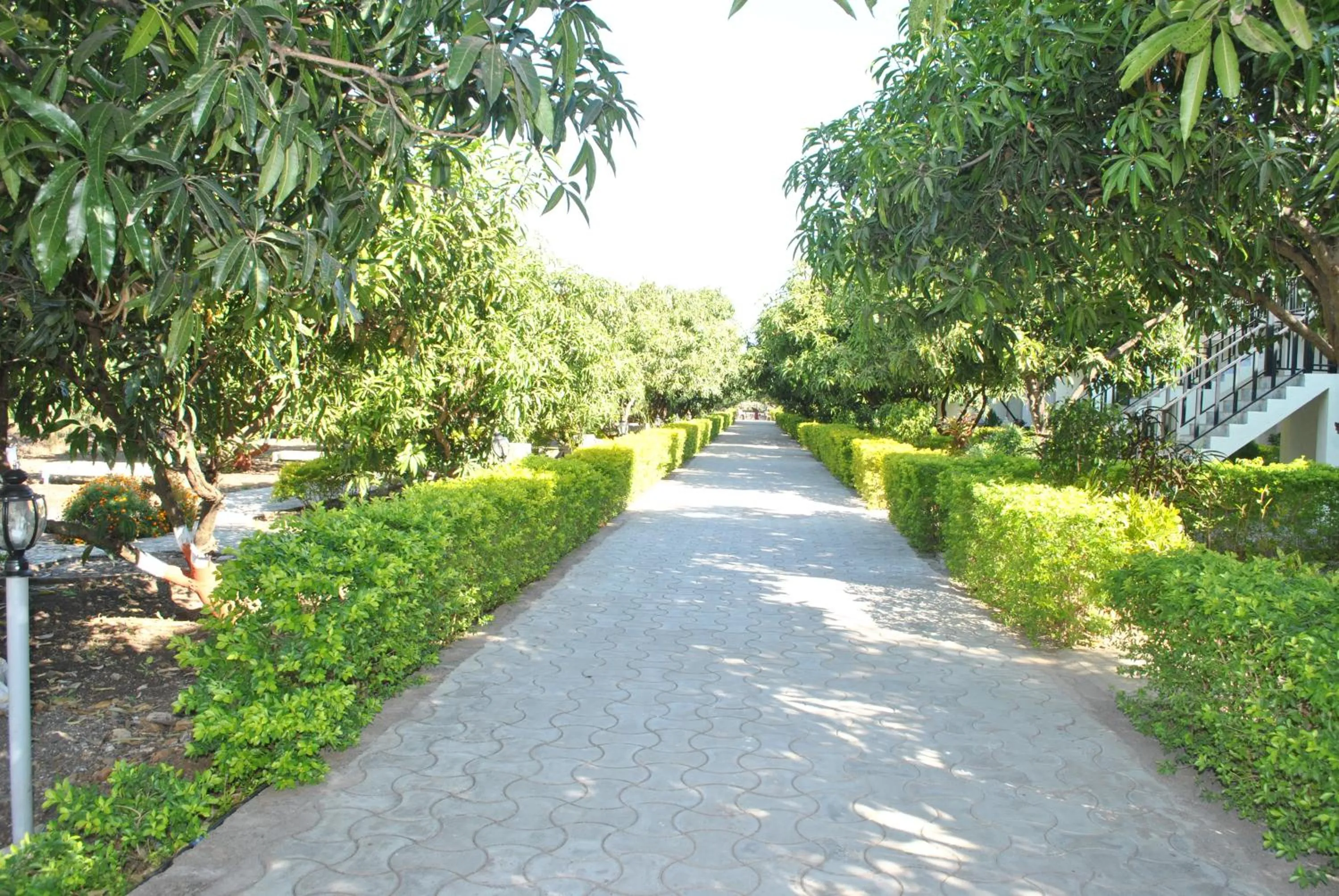 Garden in Gir Jungle Lodge