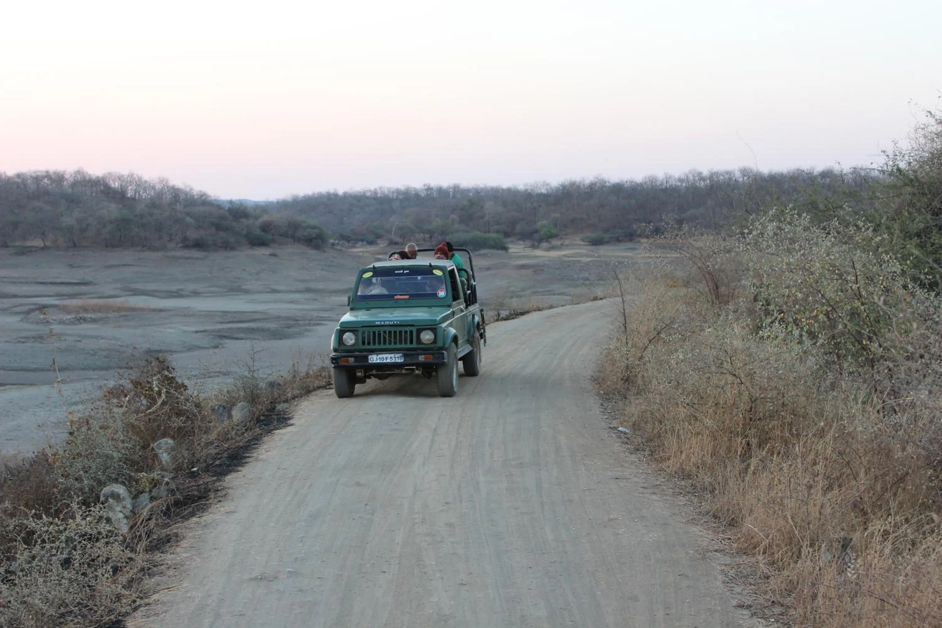 Natural landscape in Gir Jungle Lodge