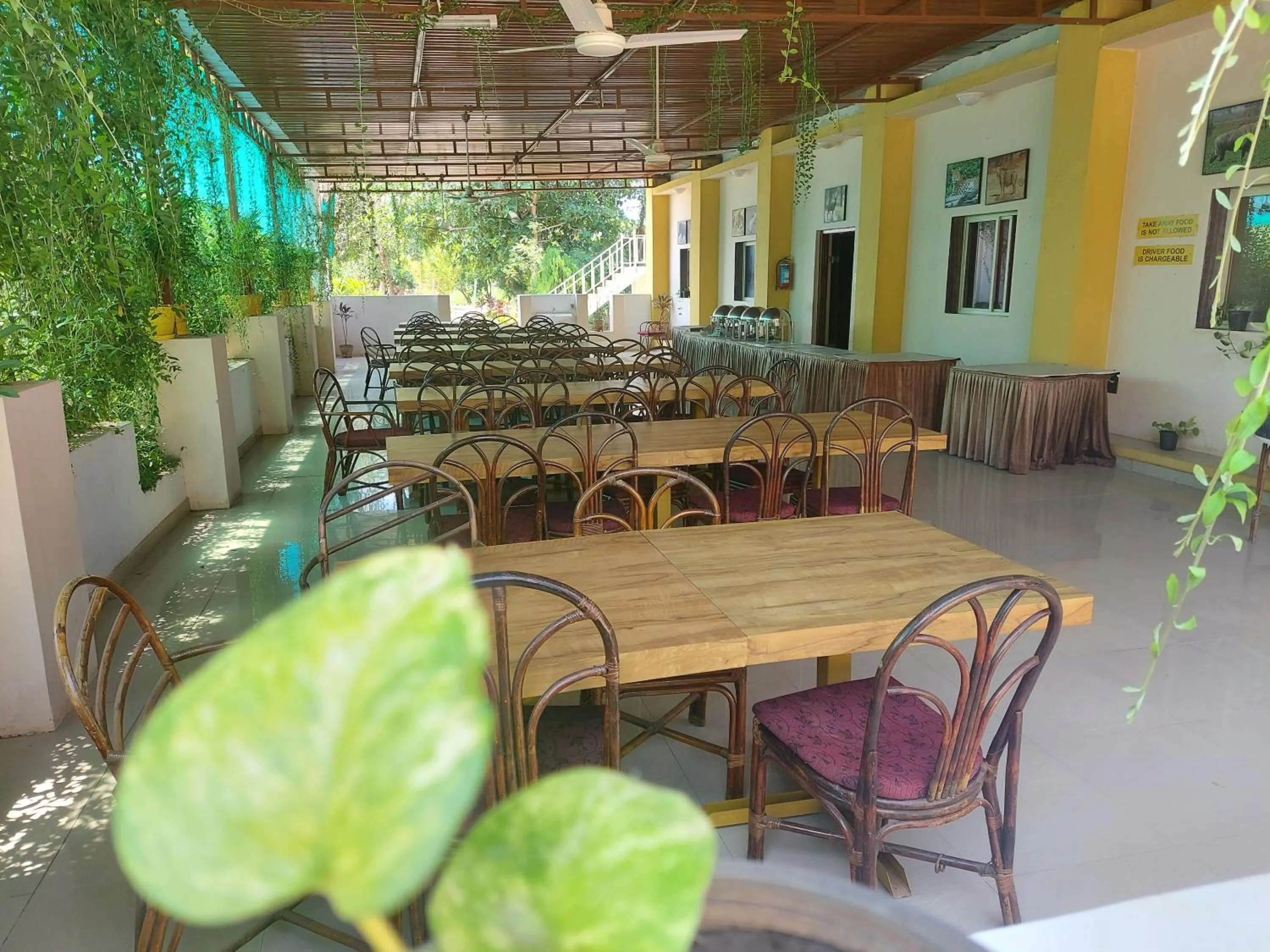 Restaurant/places to eat in Gir Jungle Lodge