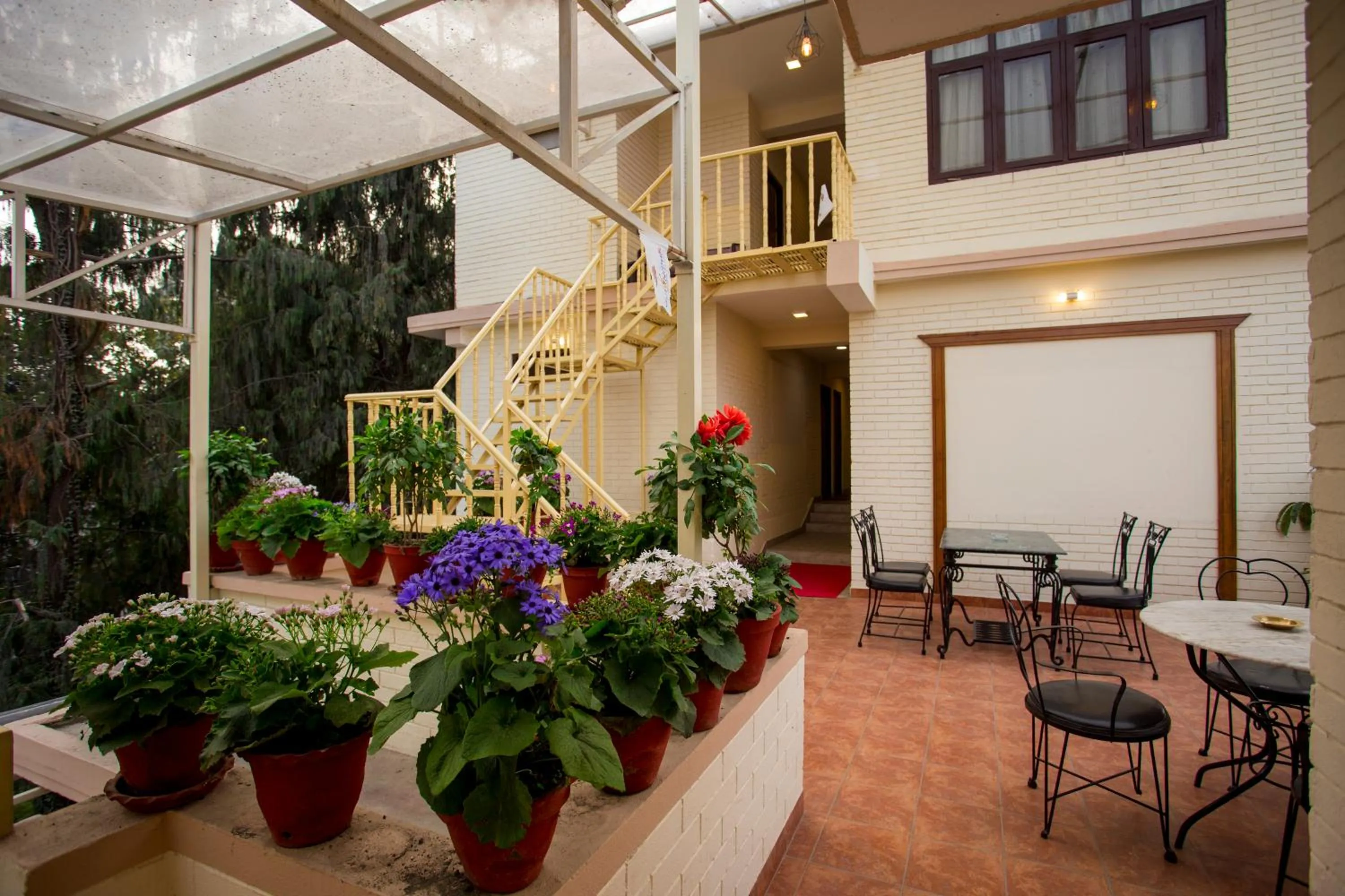 Balcony/Terrace in Hotel Blue Horizon