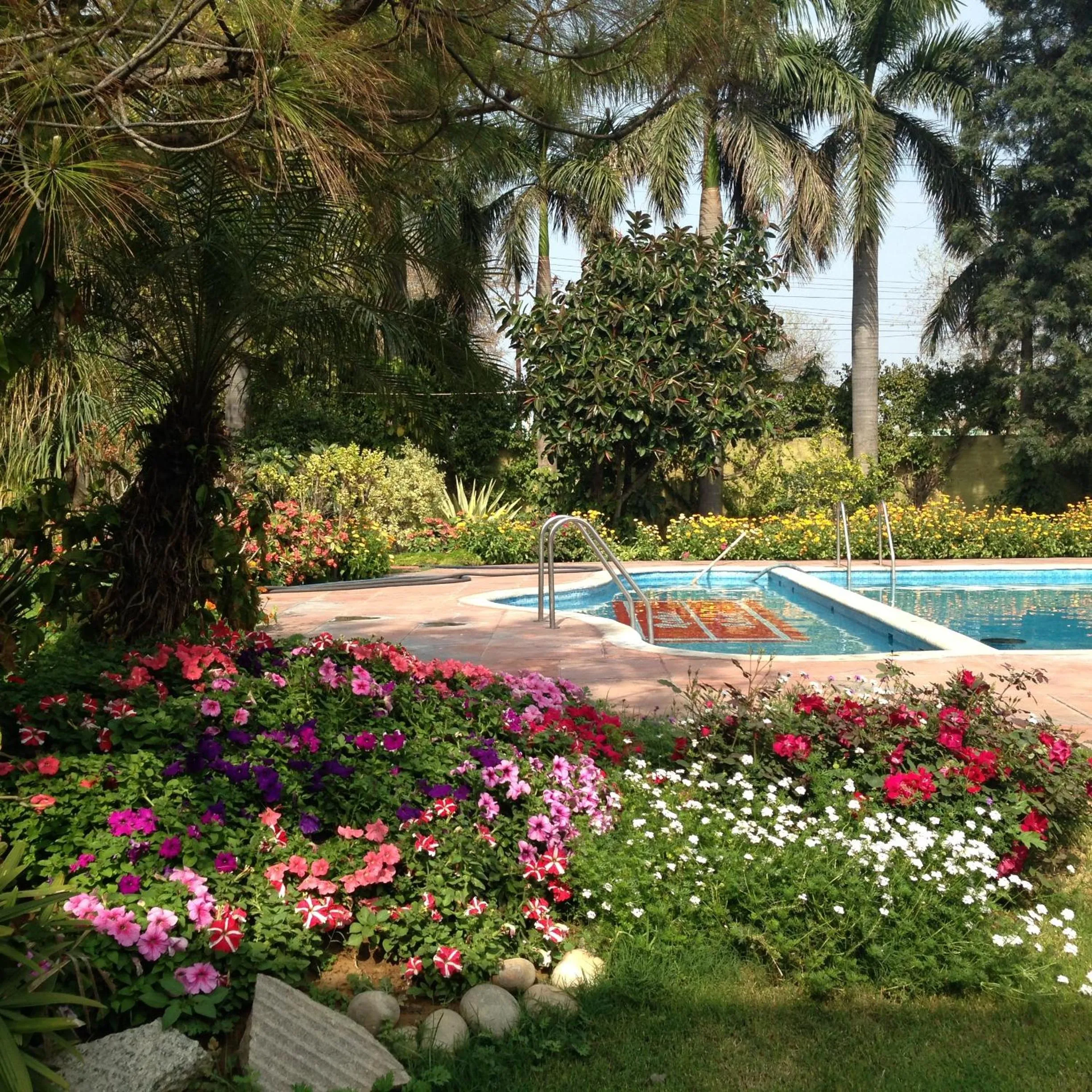 Swimming pool in The Radha Ashok