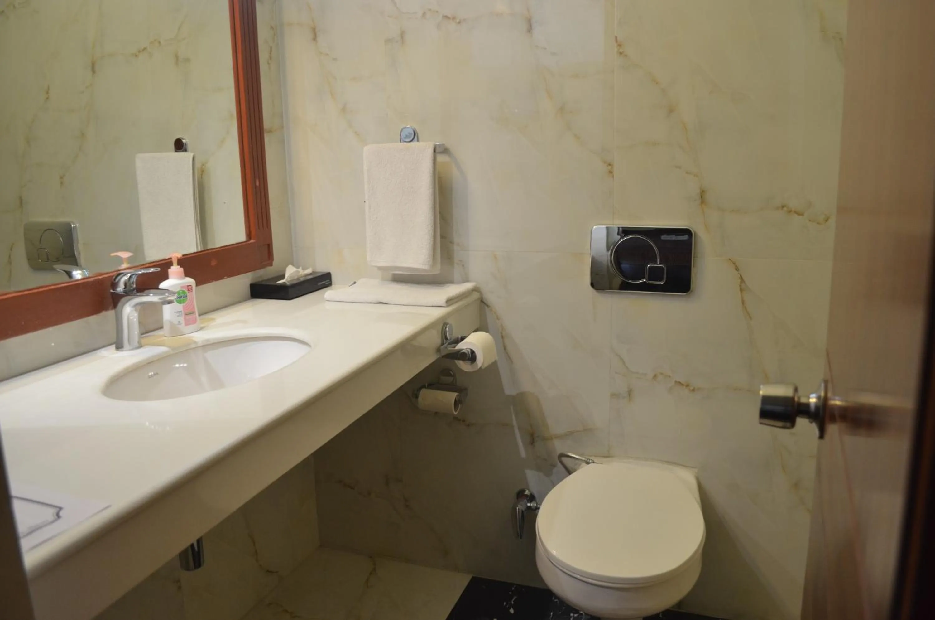 Toilet in The Radha Ashok