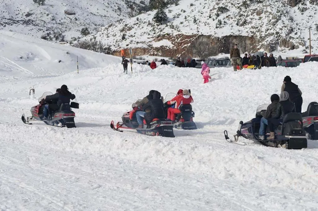 Winter in Trikalon Muses Art Suites