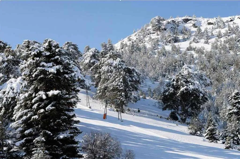 Natural landscape in Trikalon Muses Art Suites