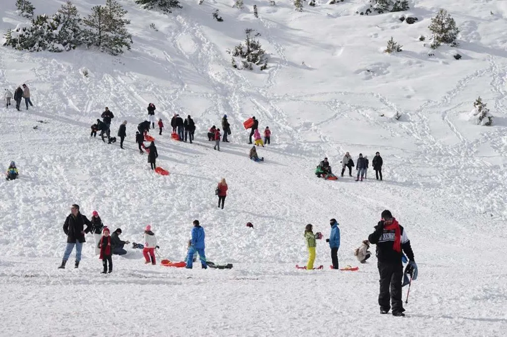 People in Trikalon Muses Art Suites