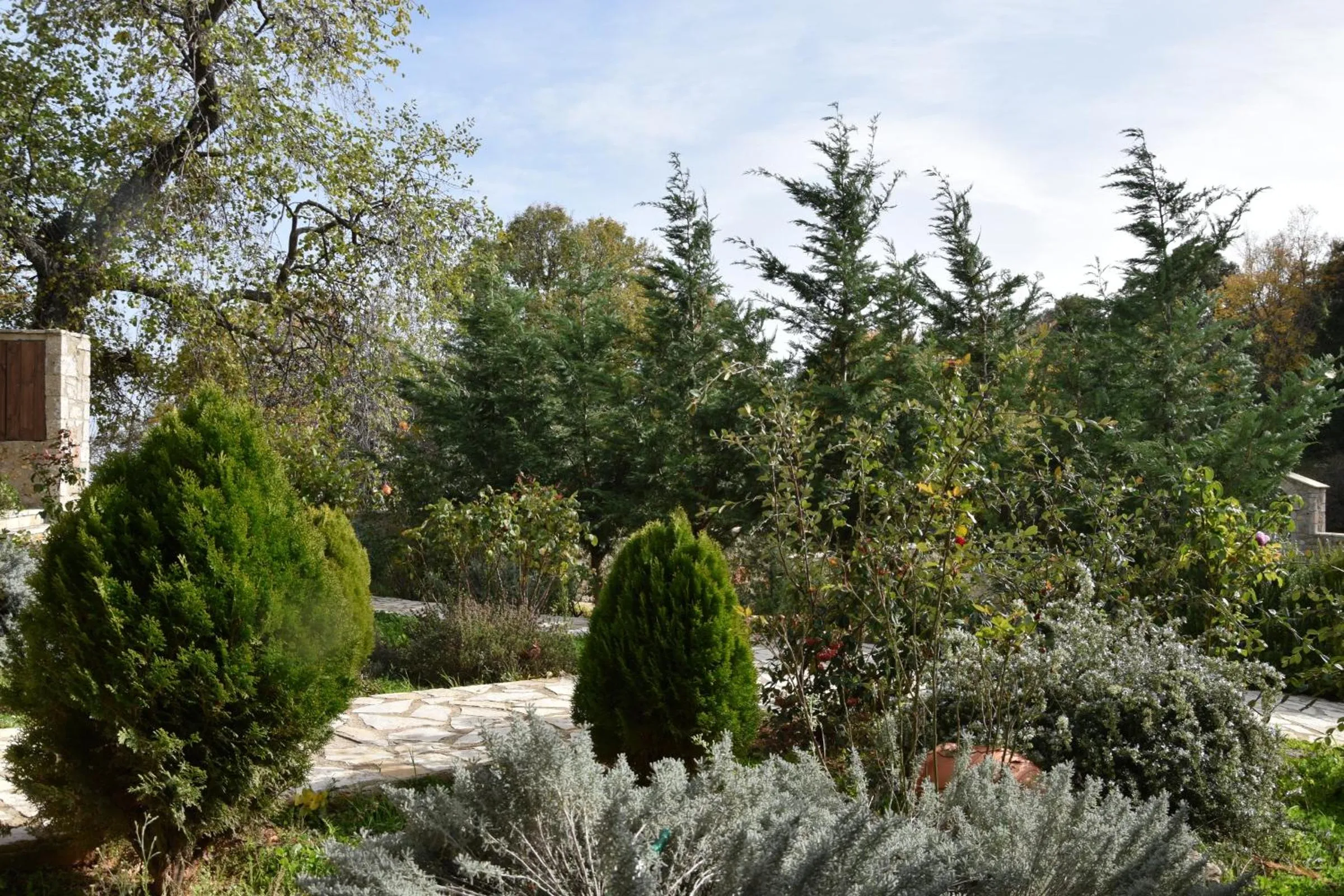 Garden in Trikalon Muses Art Suites