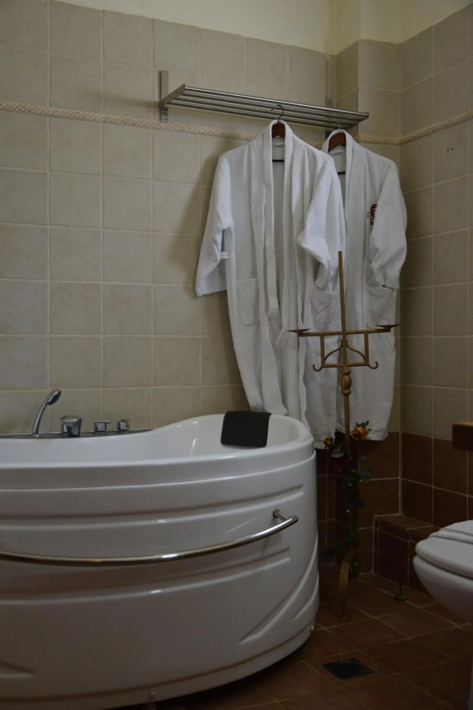 Toilet in Trikalon Muses Art Suites