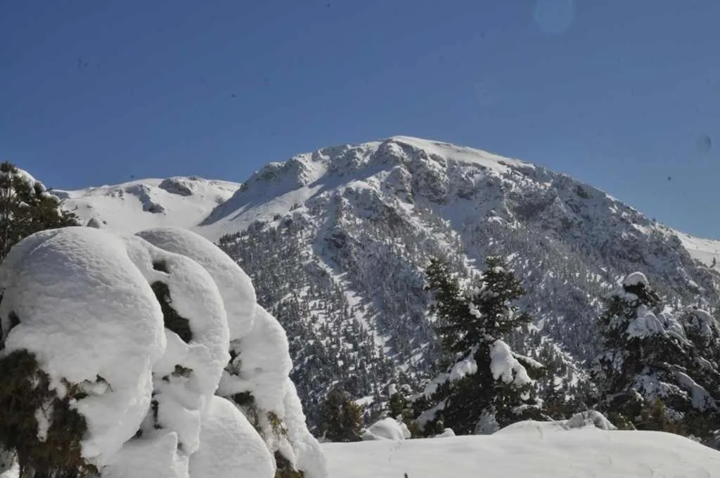 Winter in Trikalon Muses Art Suites