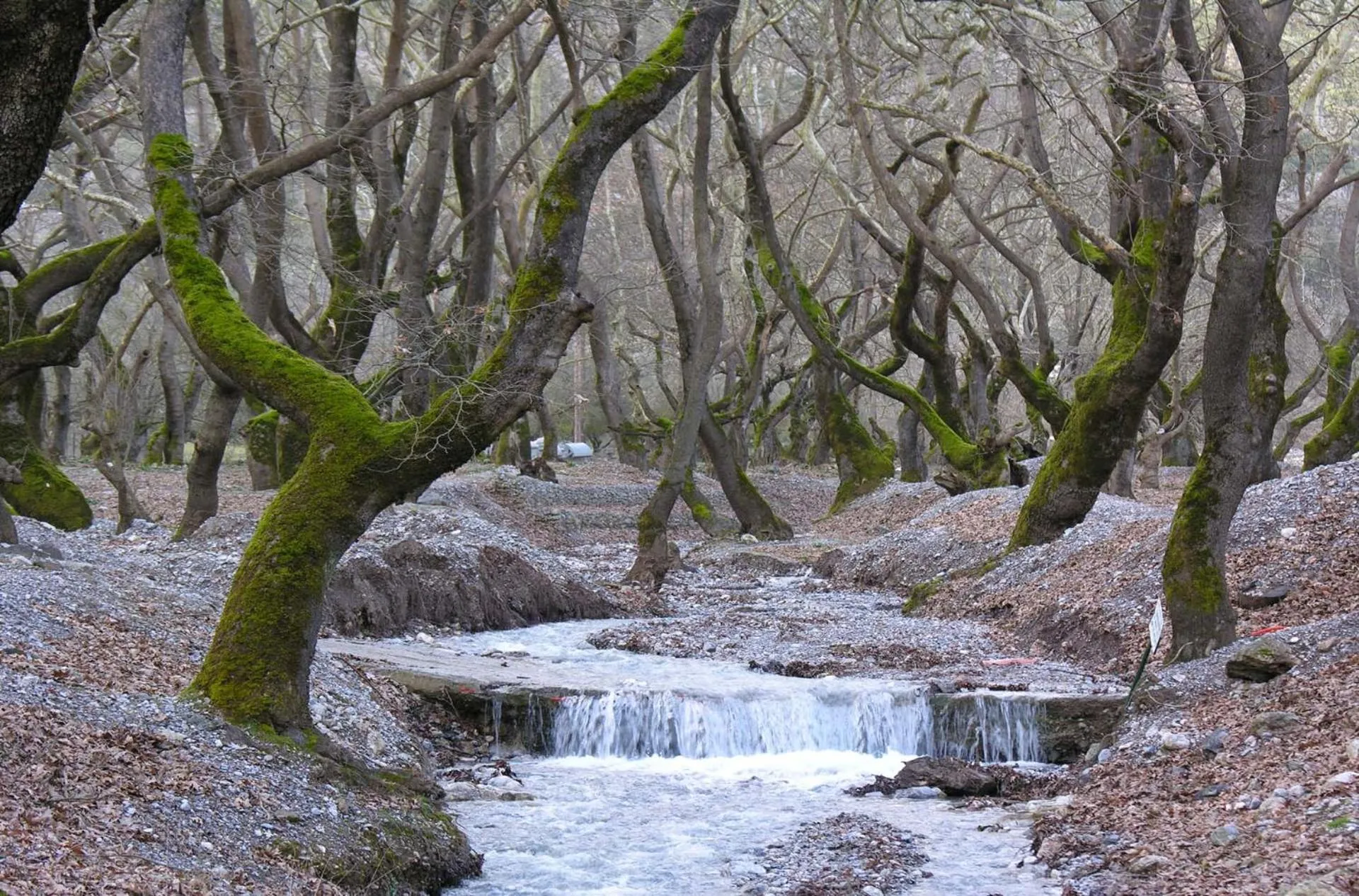 Nearby landmark in Trikalon Muses Art Suites