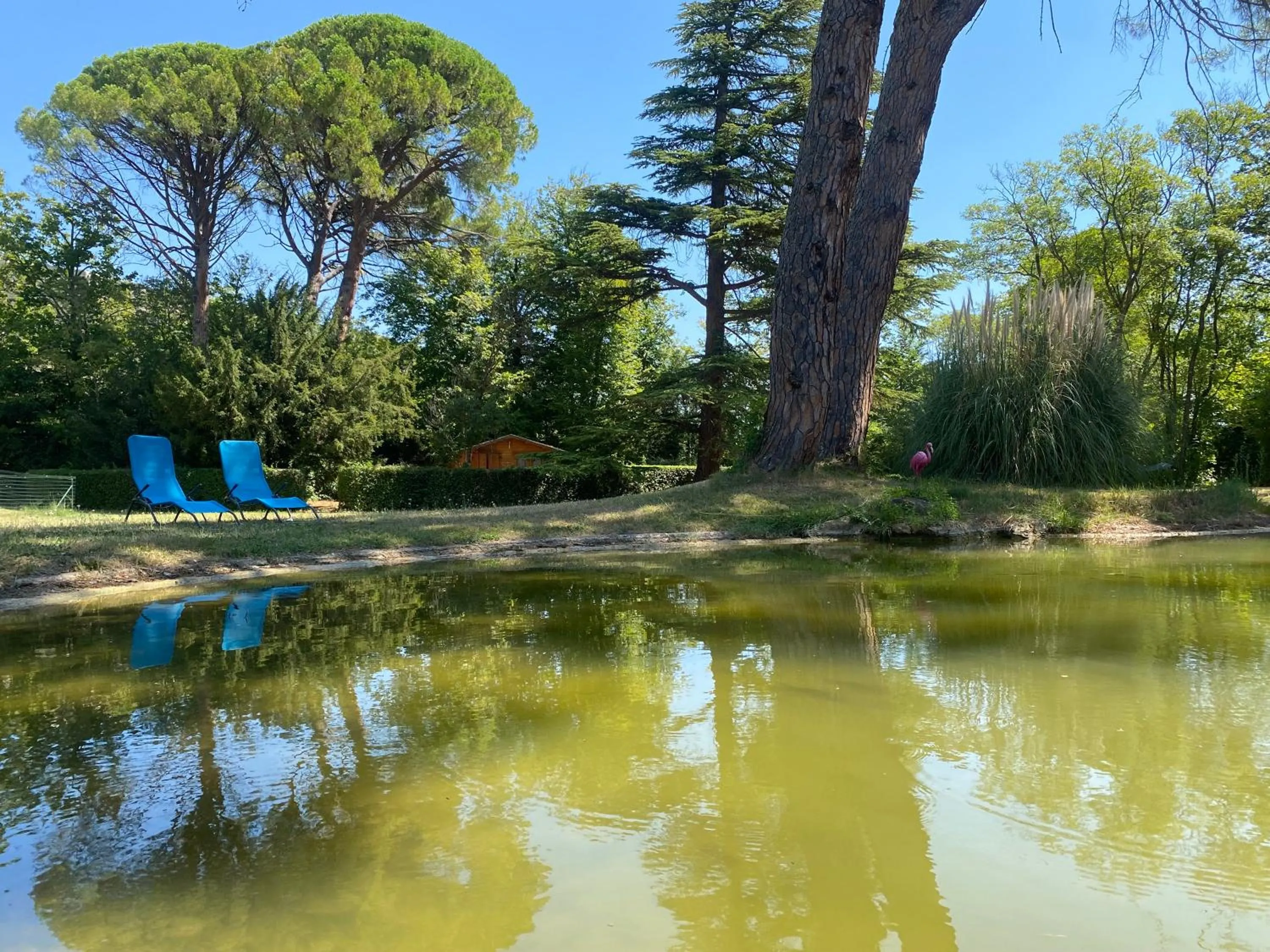 Domaine de Bellevue CHAMBRE D'HÔTES