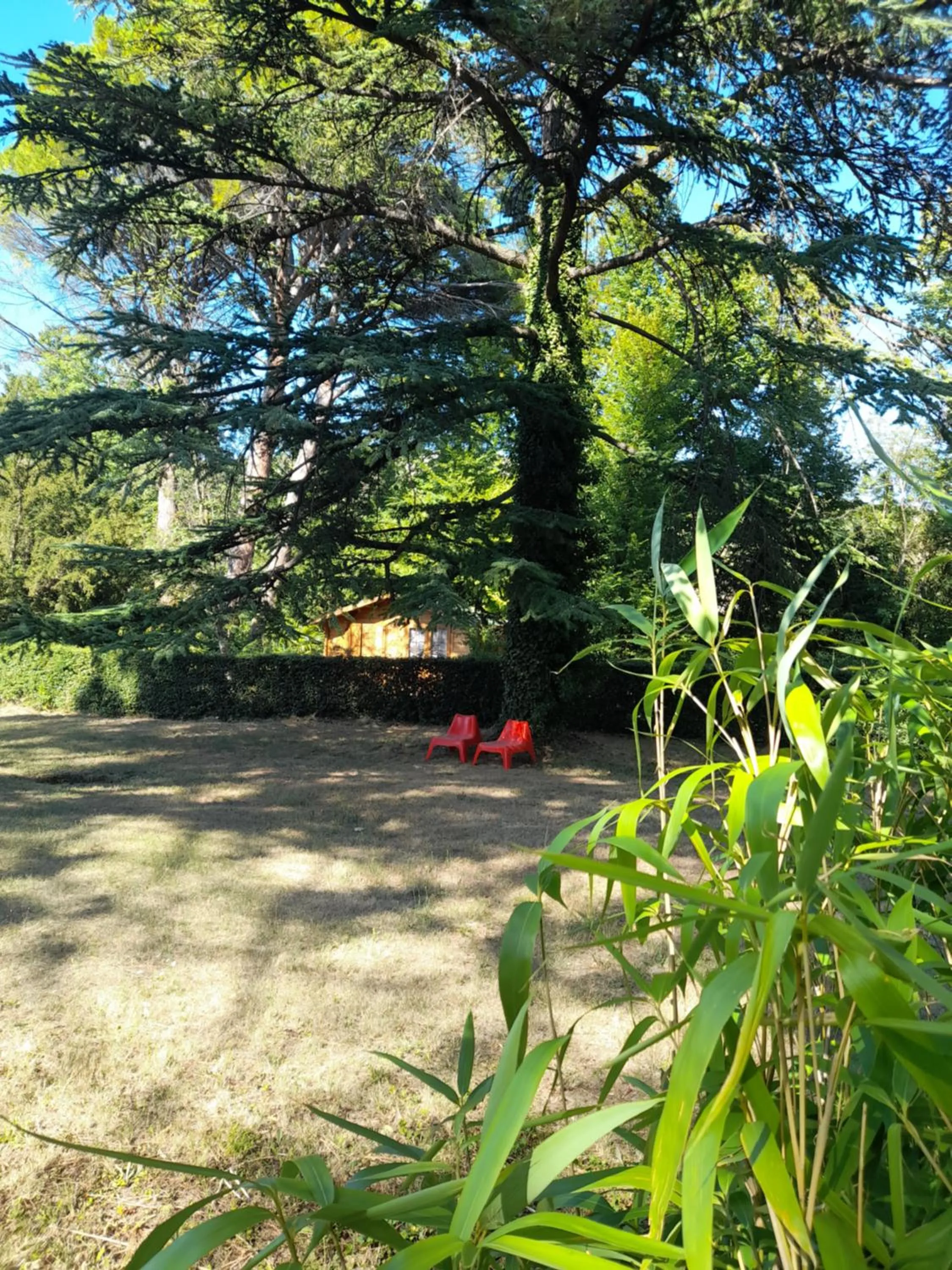 Garden in Domaine de Bellevue CHAMBRE D'HÔTES