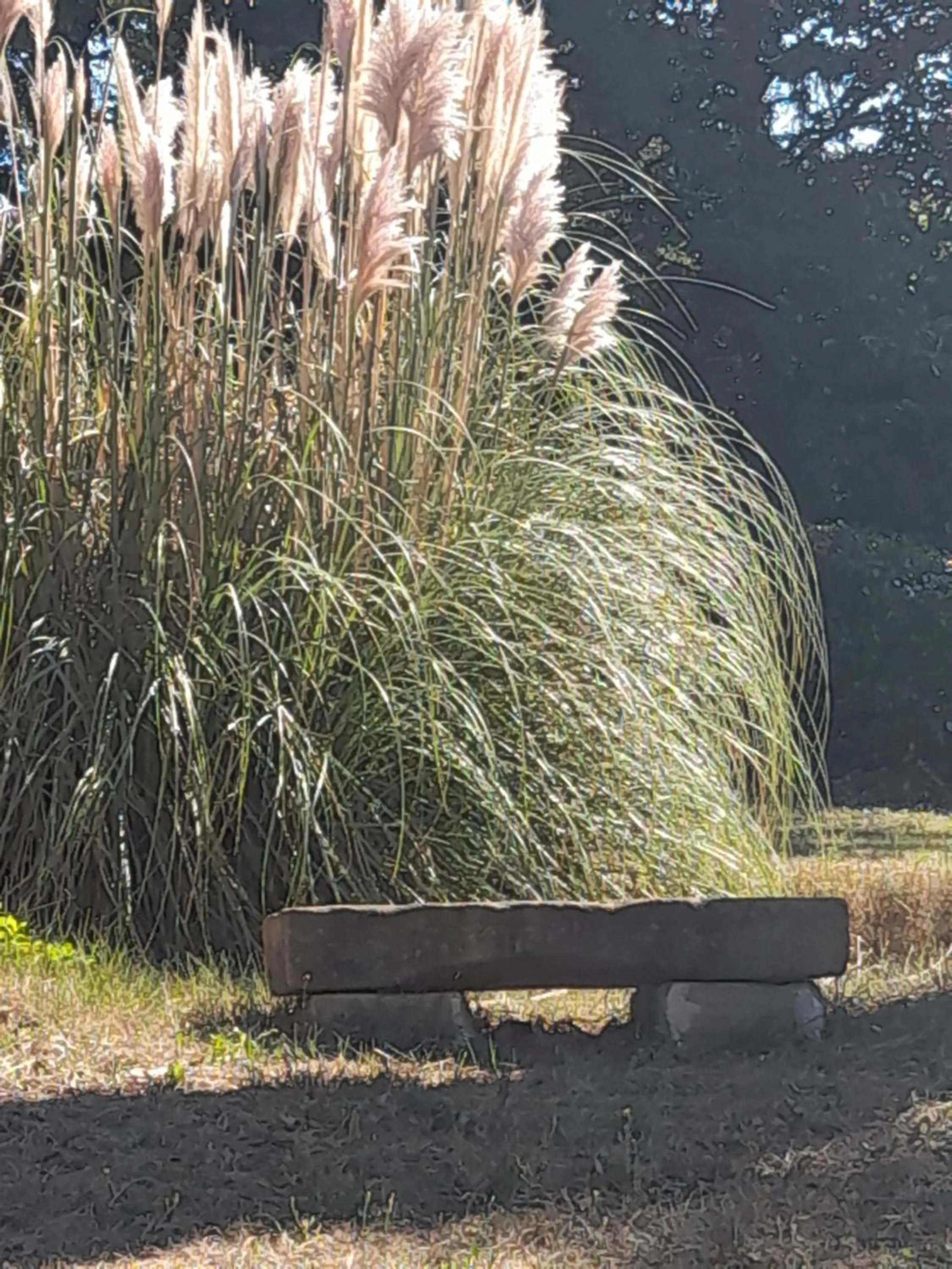 Domaine de Bellevue CHAMBRE D'HÔTES