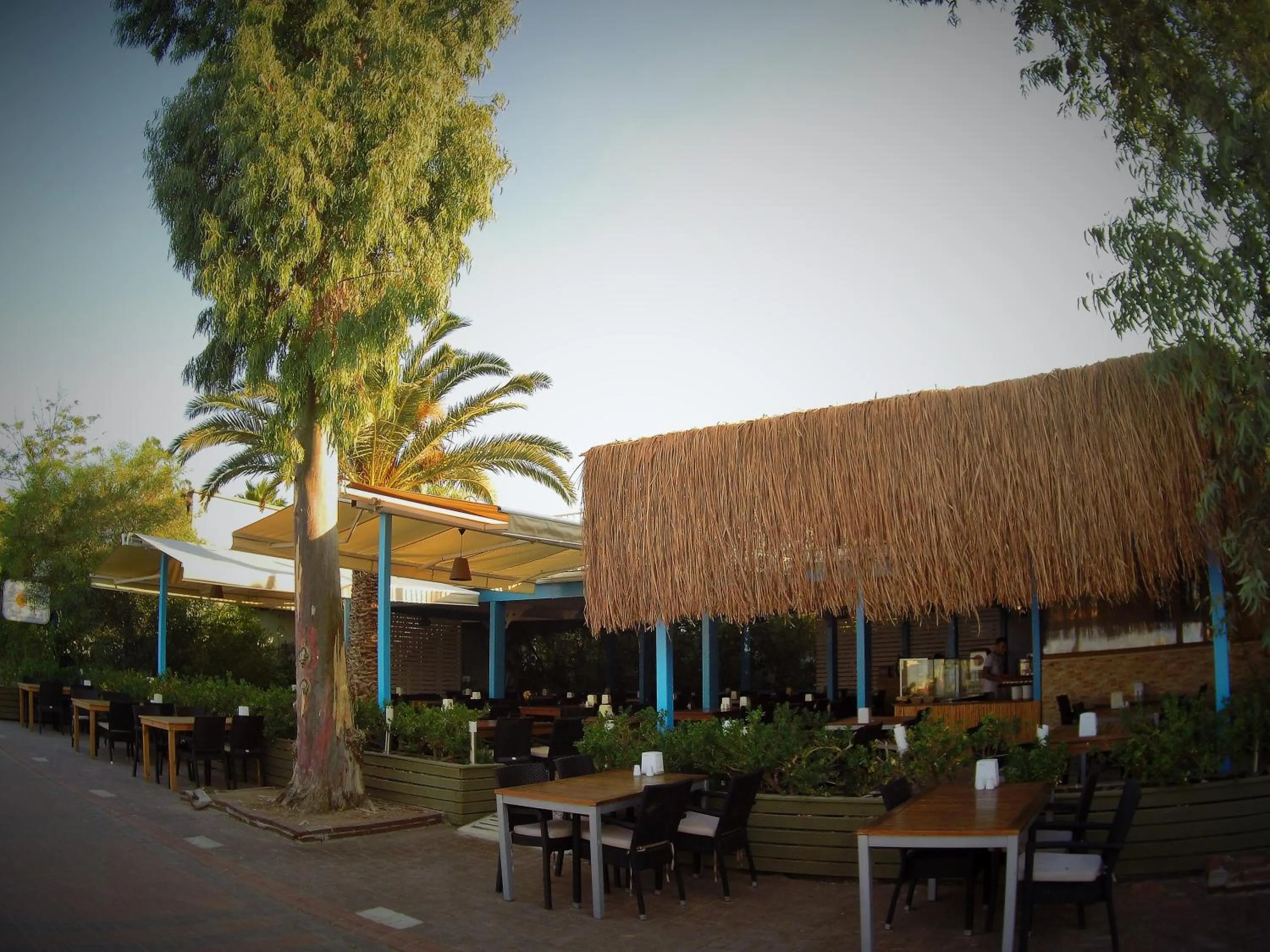 Restaurant/places to eat in Manuela Boutique Hotel Bitez