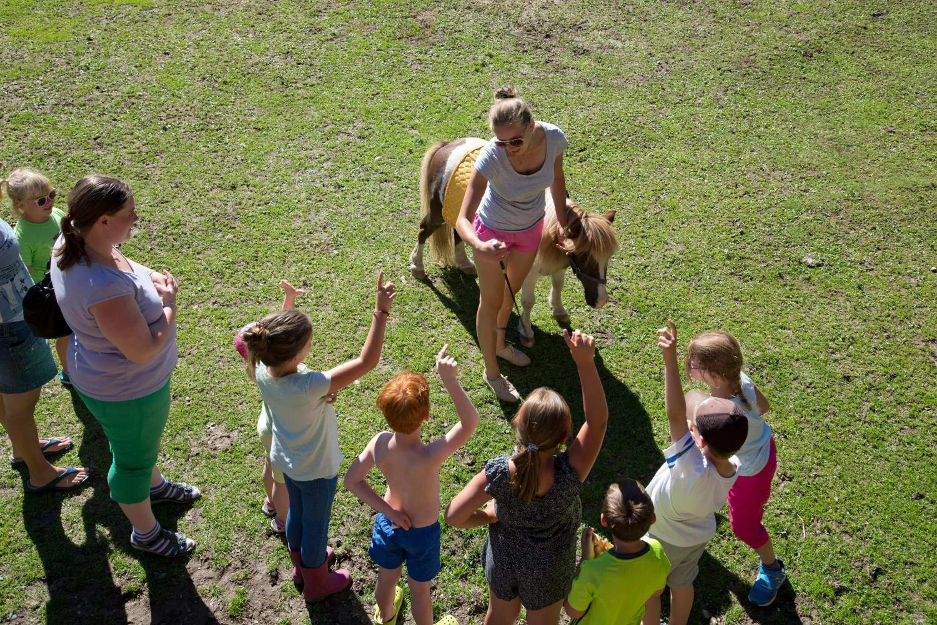 Garden in Hotel Berghof