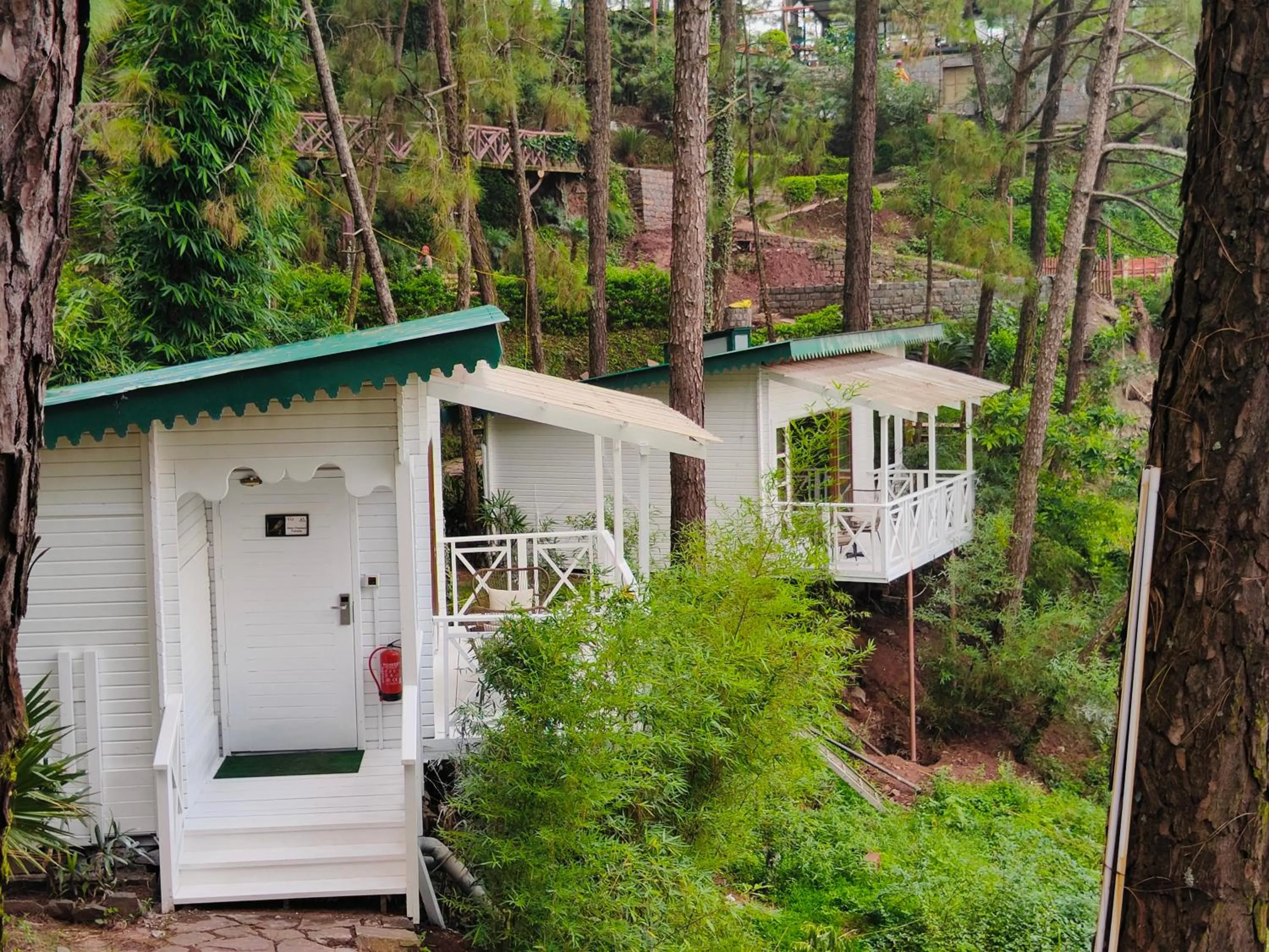 Garden in Kasauli Hills Resort