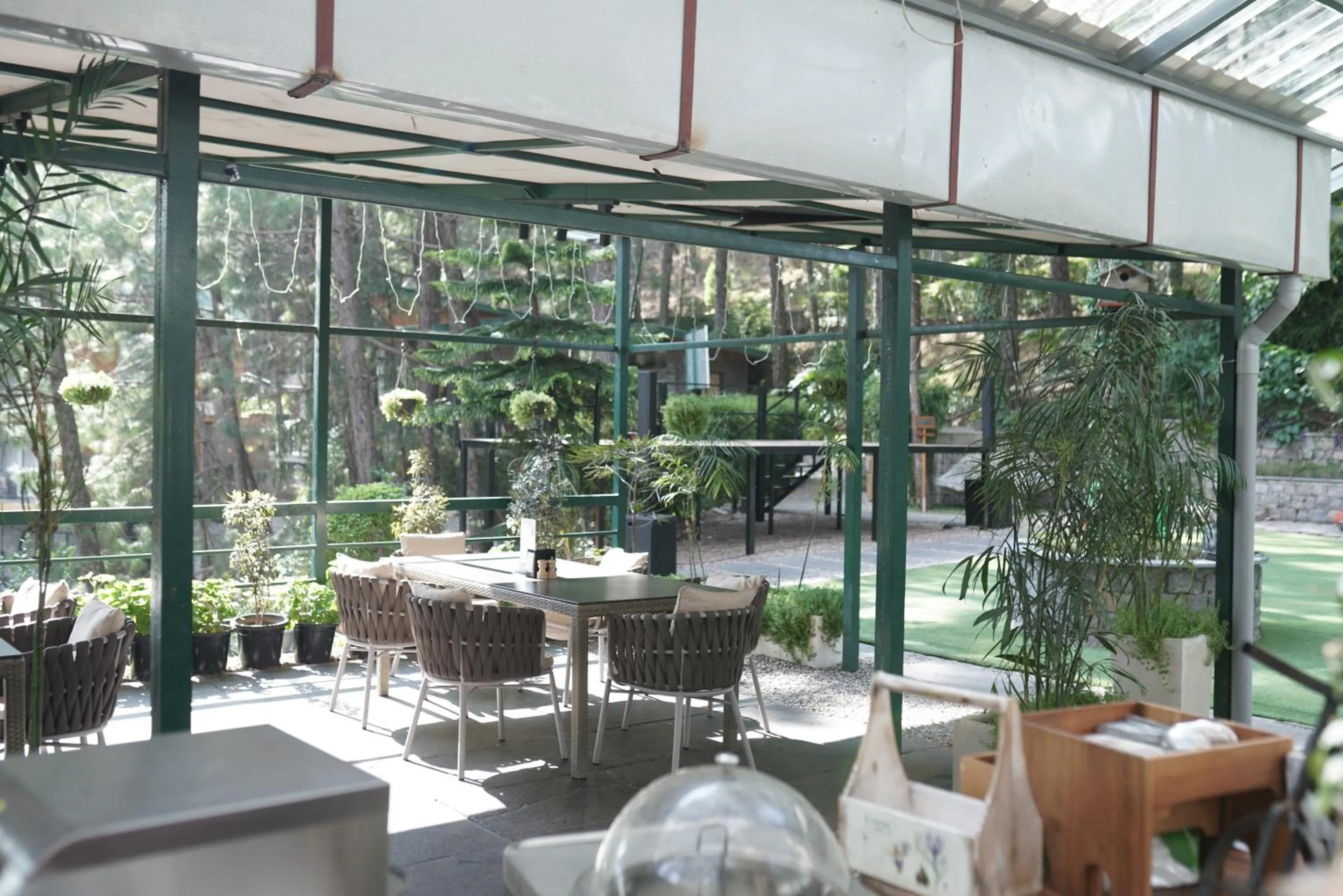 Restaurant/places to eat in Kasauli Hills Resort