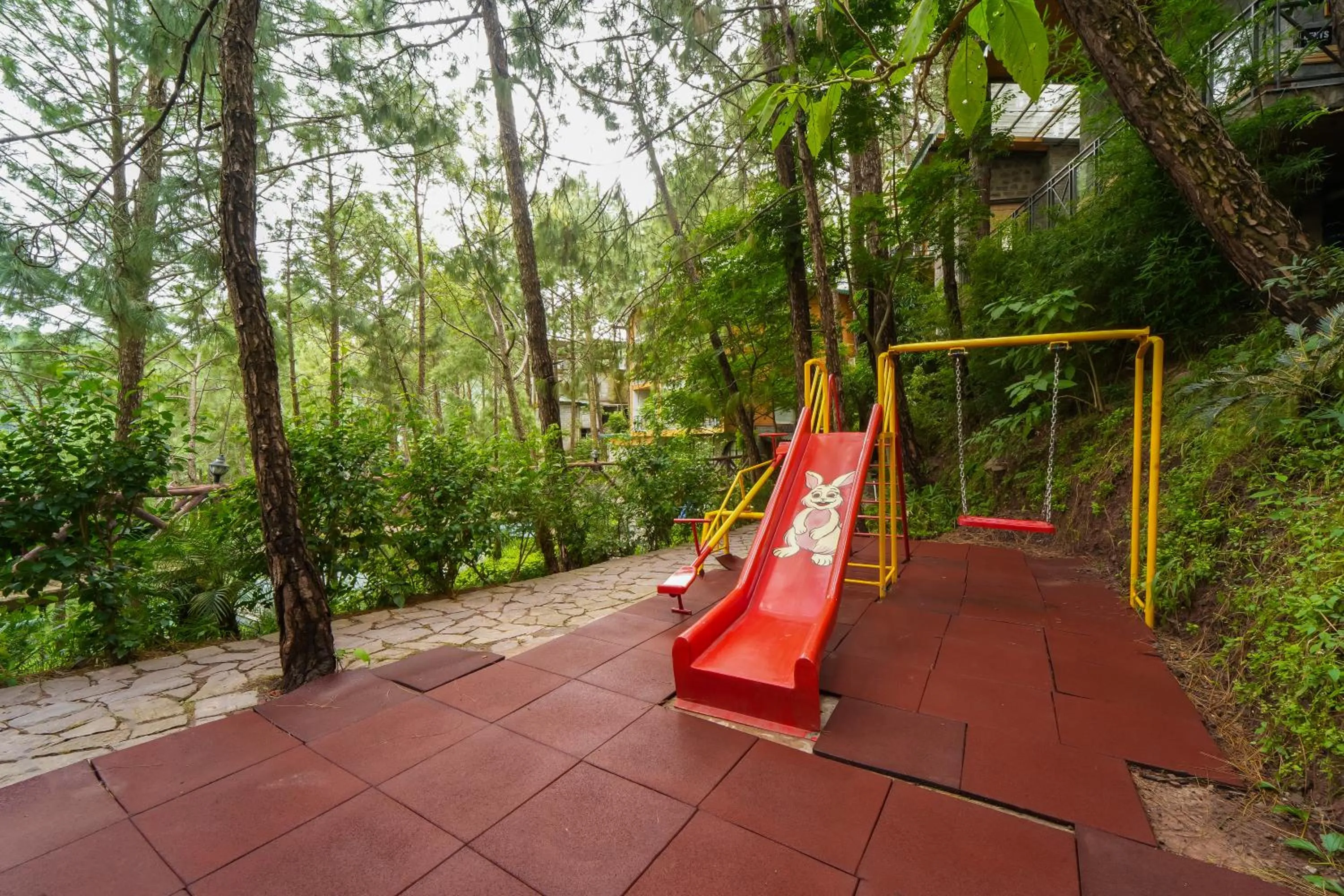 Activities in Kasauli Hills Resort