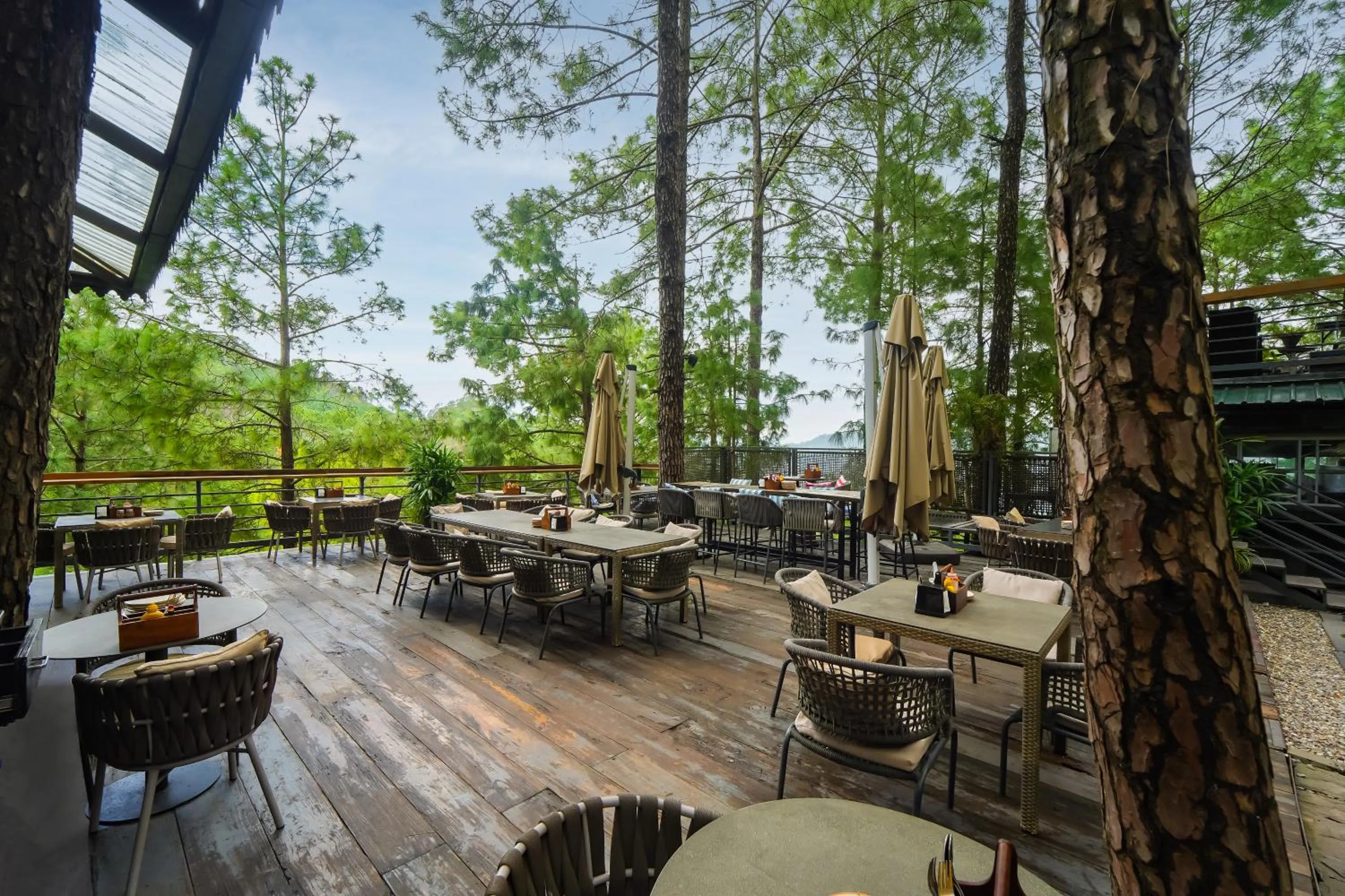 Lounge or bar in Kasauli Hills Resort