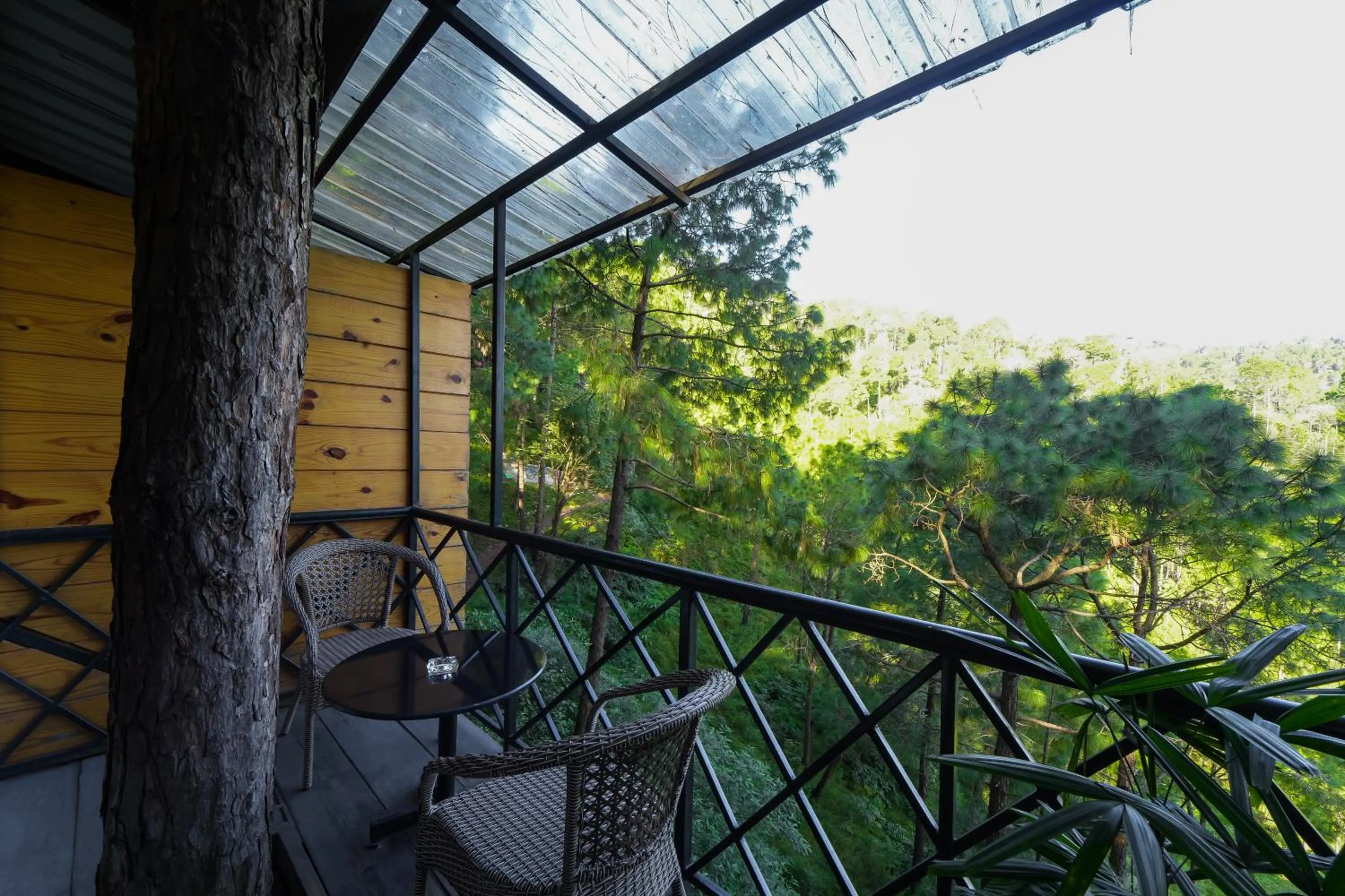 Balcony/Terrace in Kasauli Hills Resort