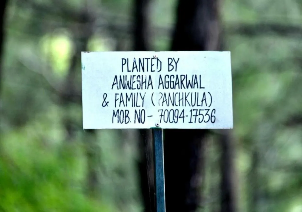 Logo/Certificate/Sign in Kasauli Hills Resort