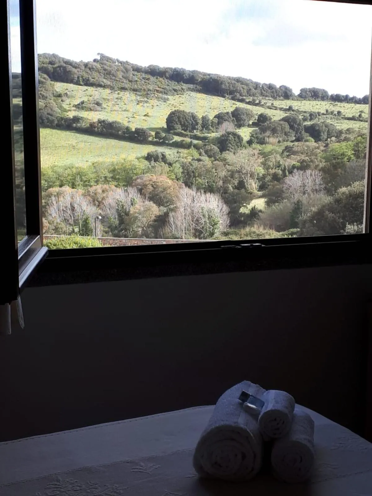 Mountain view, Bed in Hotel Sorgente