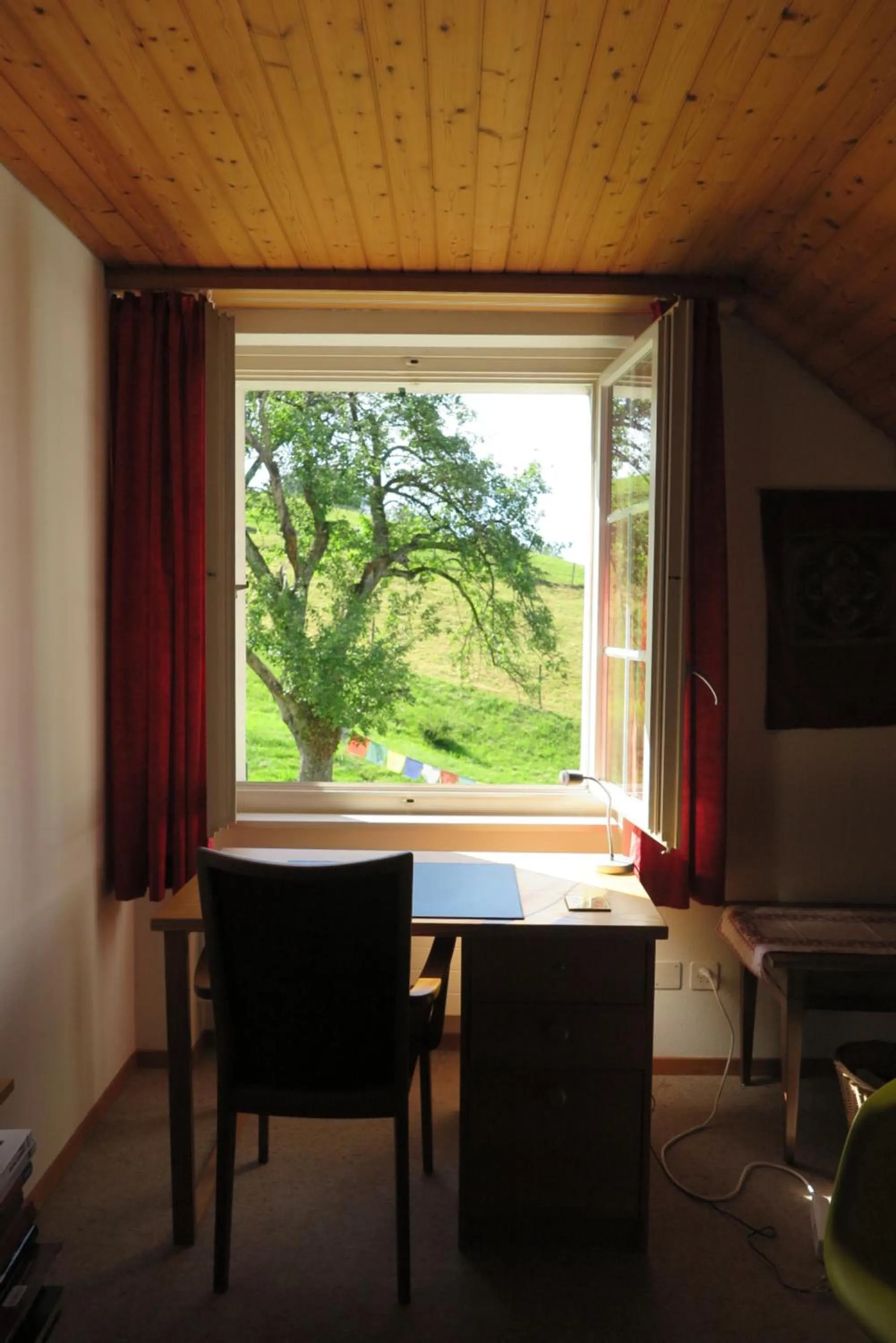 Garden view in B&B Sigrid Braun-Budde