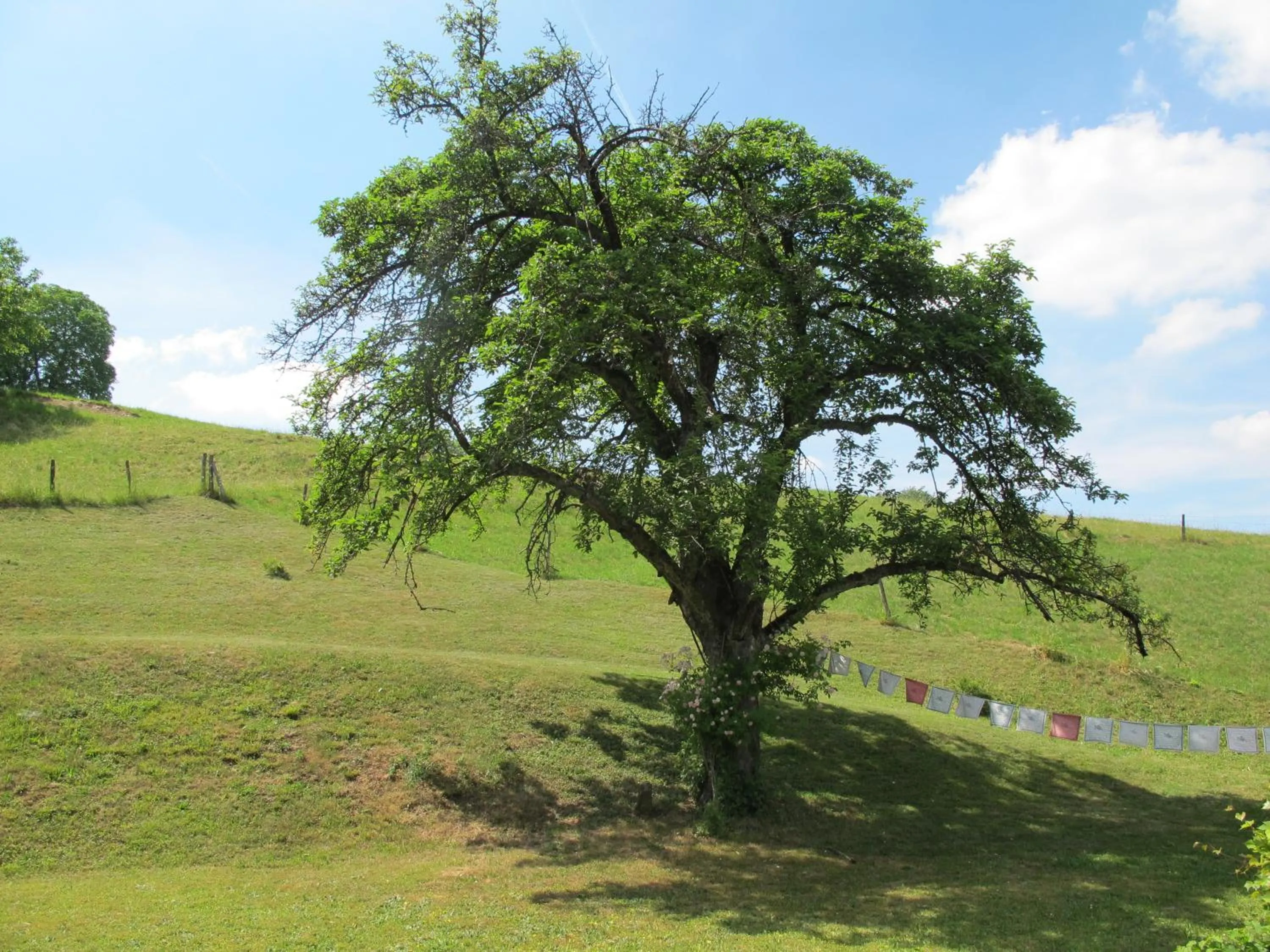 Garden in B&B Sigrid Braun-Budde